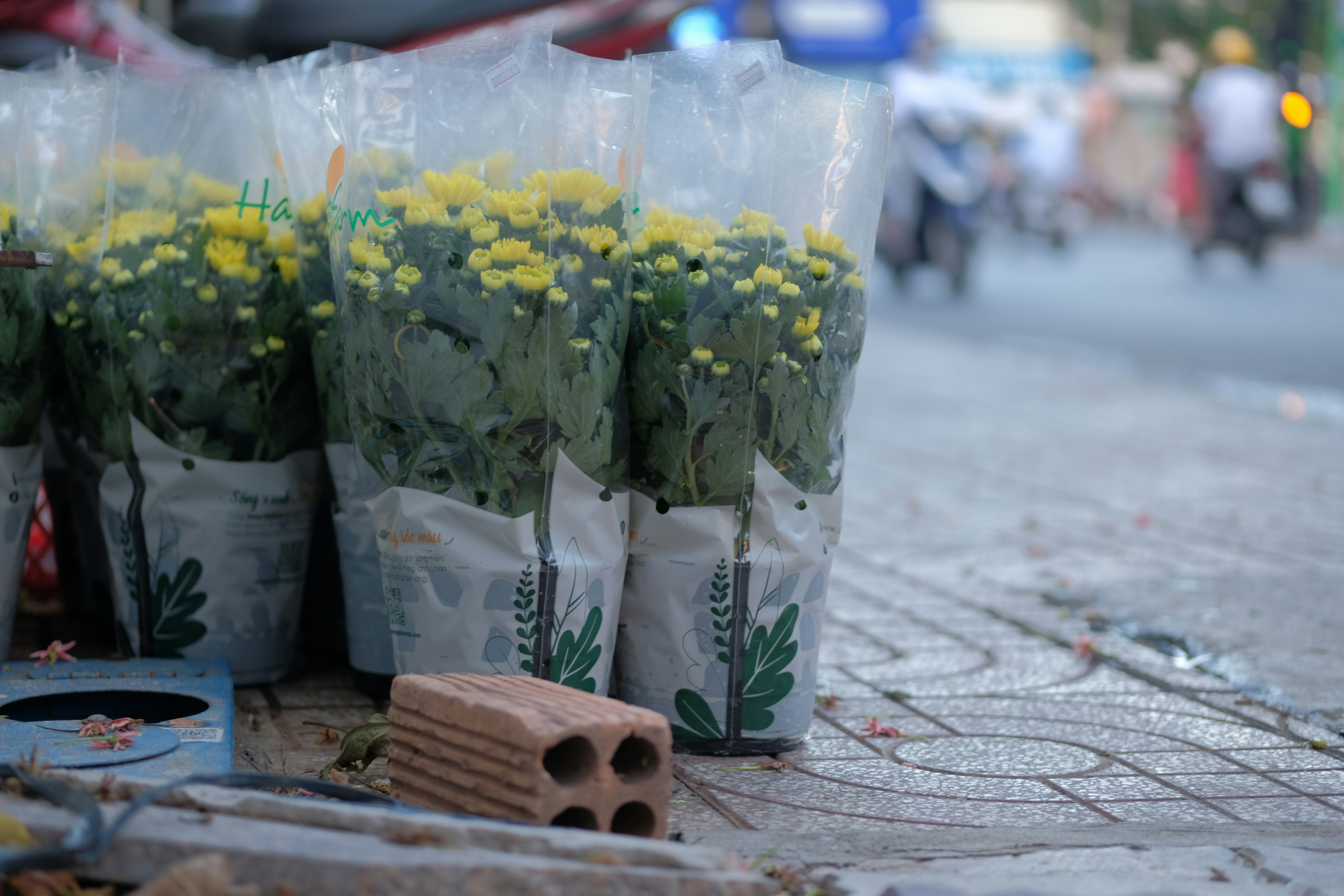 Các tòa nhà căn hộ minh họa cho thị trường cho thuê căn hộ 2 phòng ngủ tại Vũng Tàu, Việt Nam