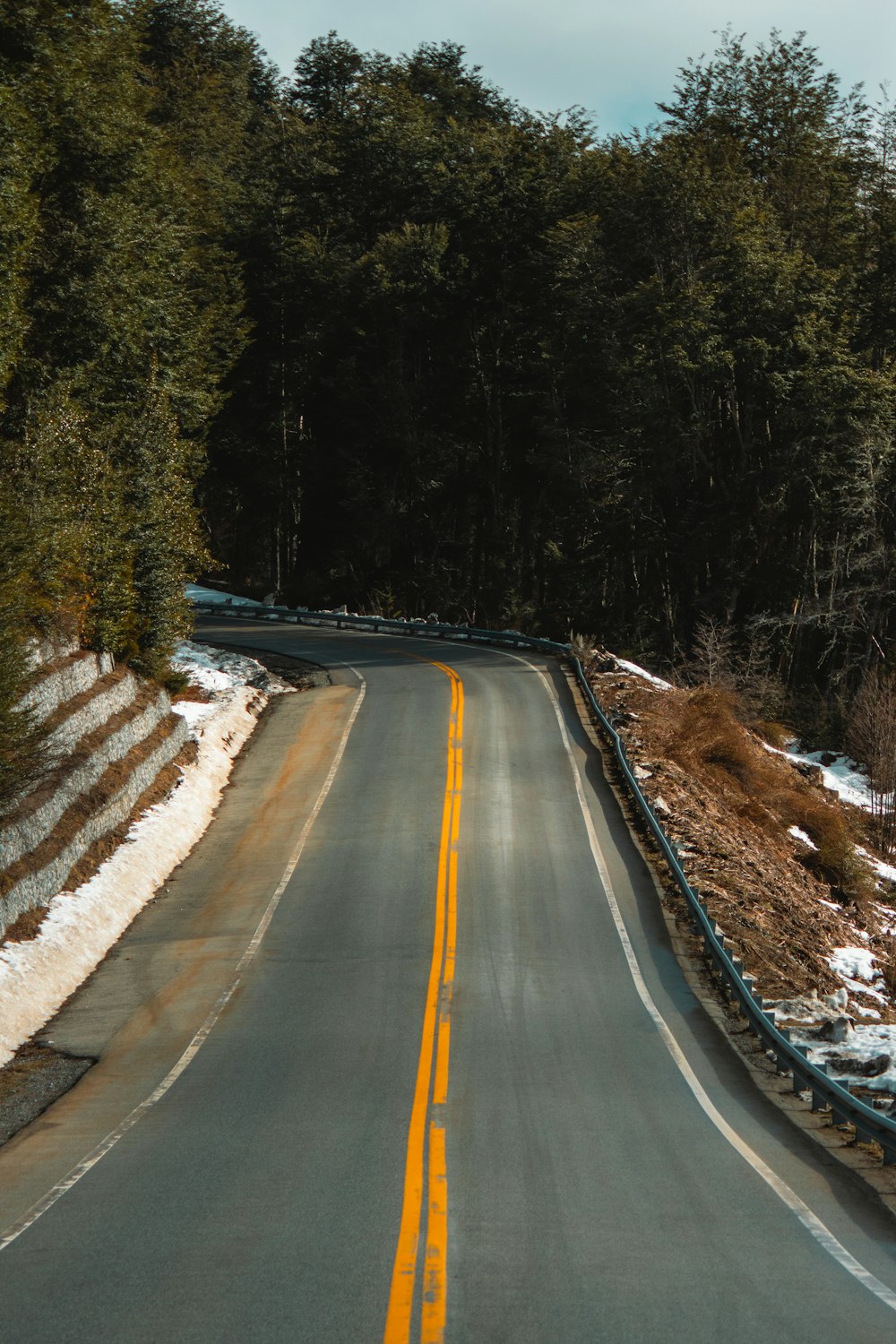 a road with trees on the side