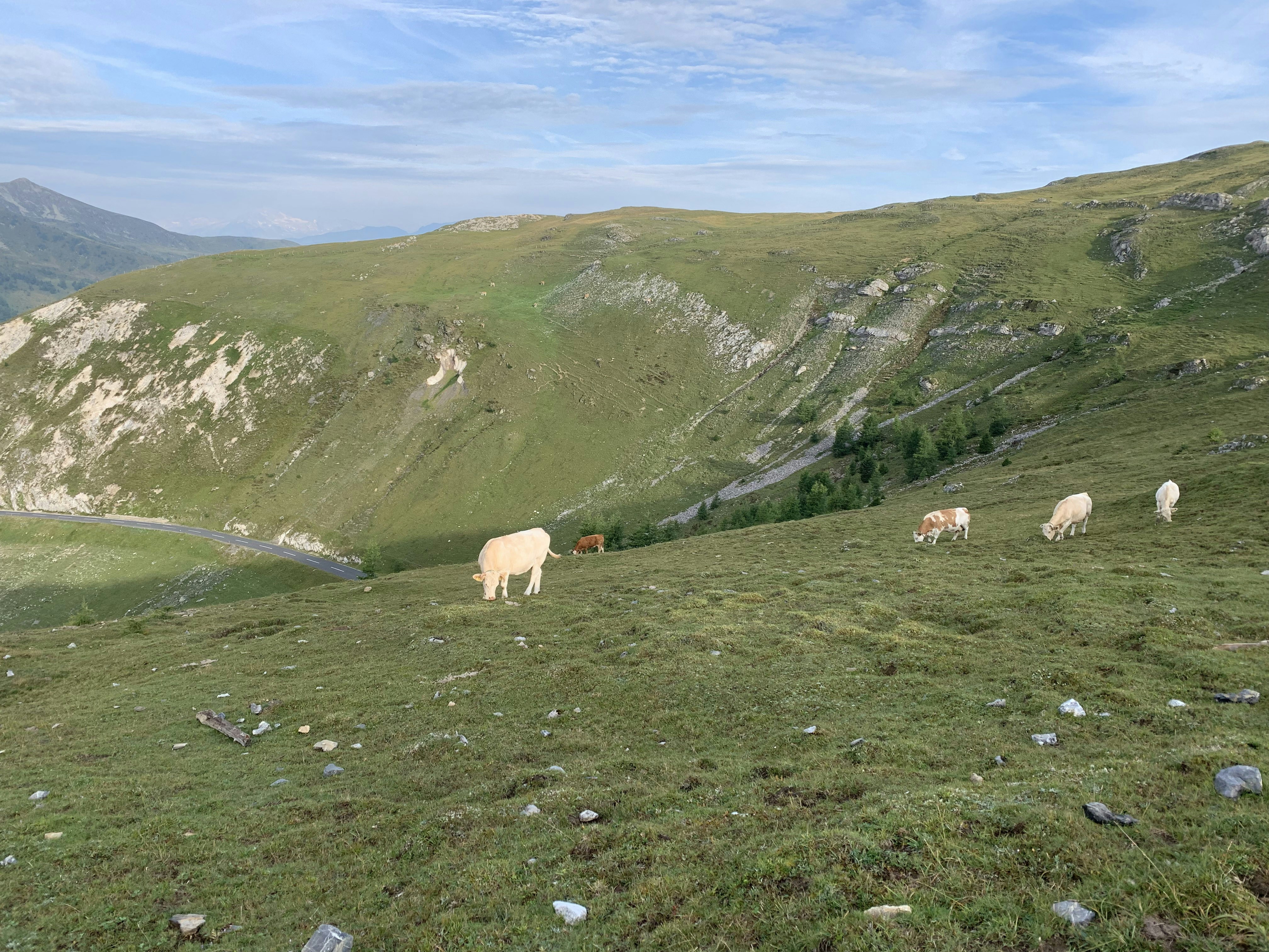 Photo by datingscout