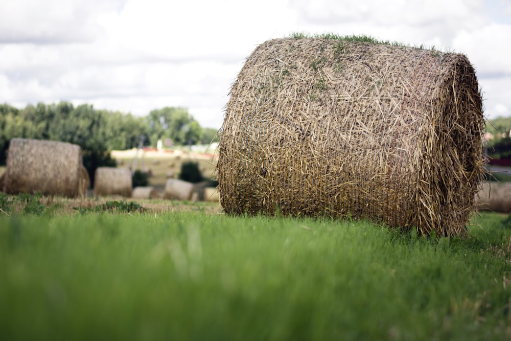 a large pile of hay in a field