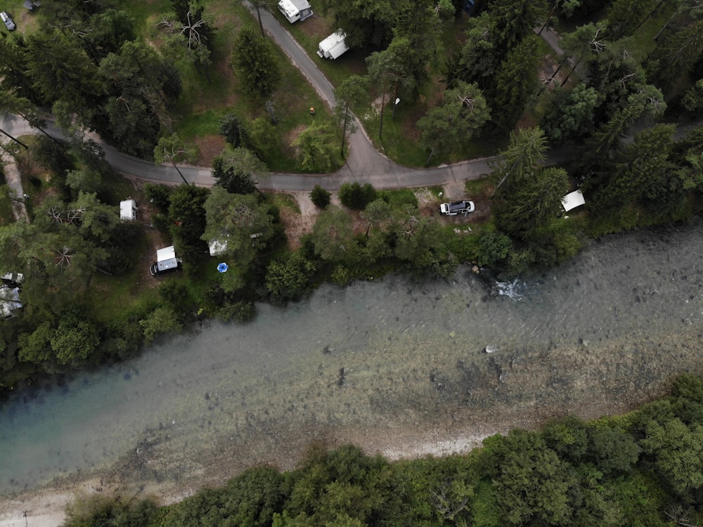 a flooded area with trees and houses