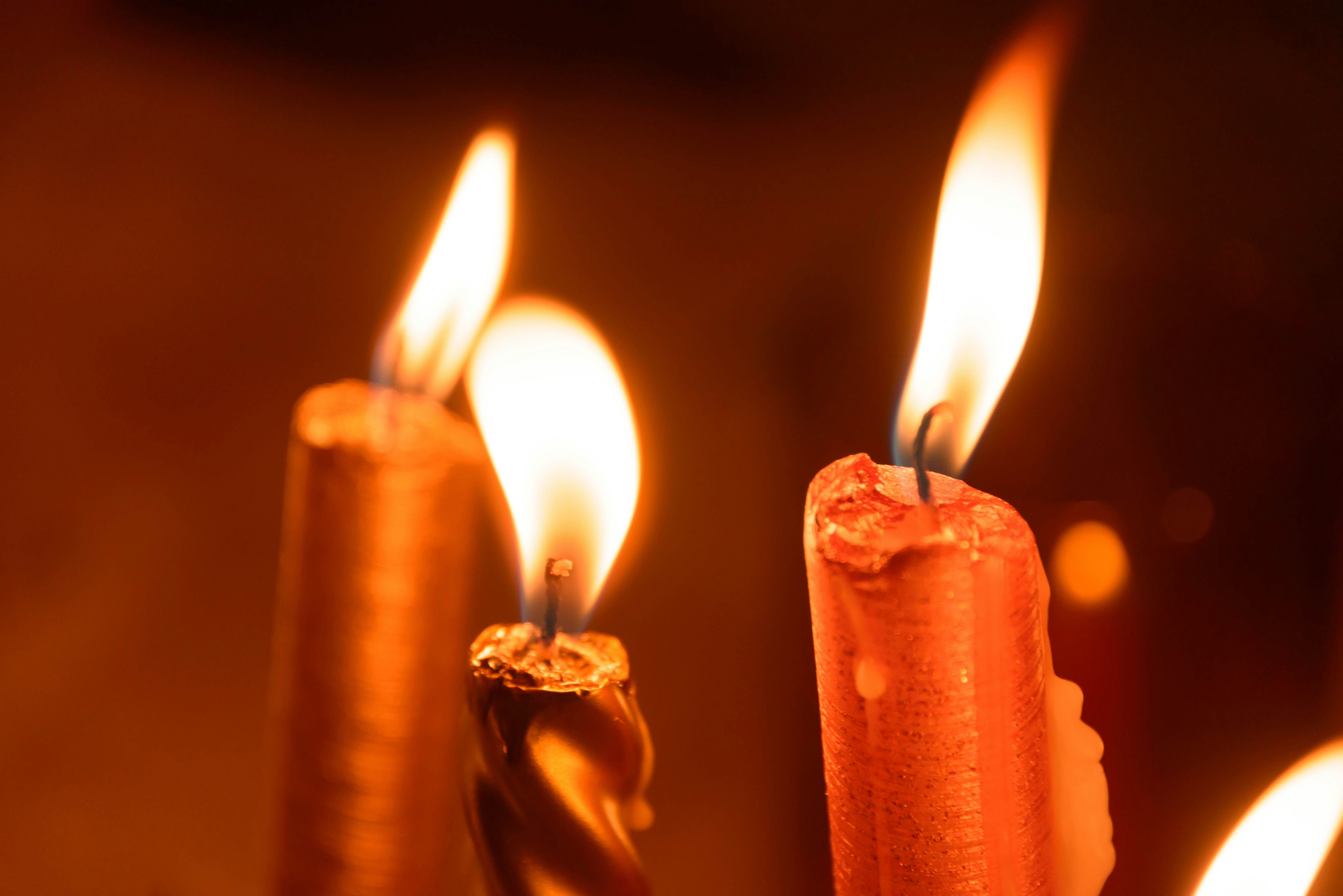 Dark Charm: A Romance Novel