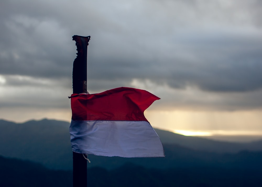 a flag on a pole