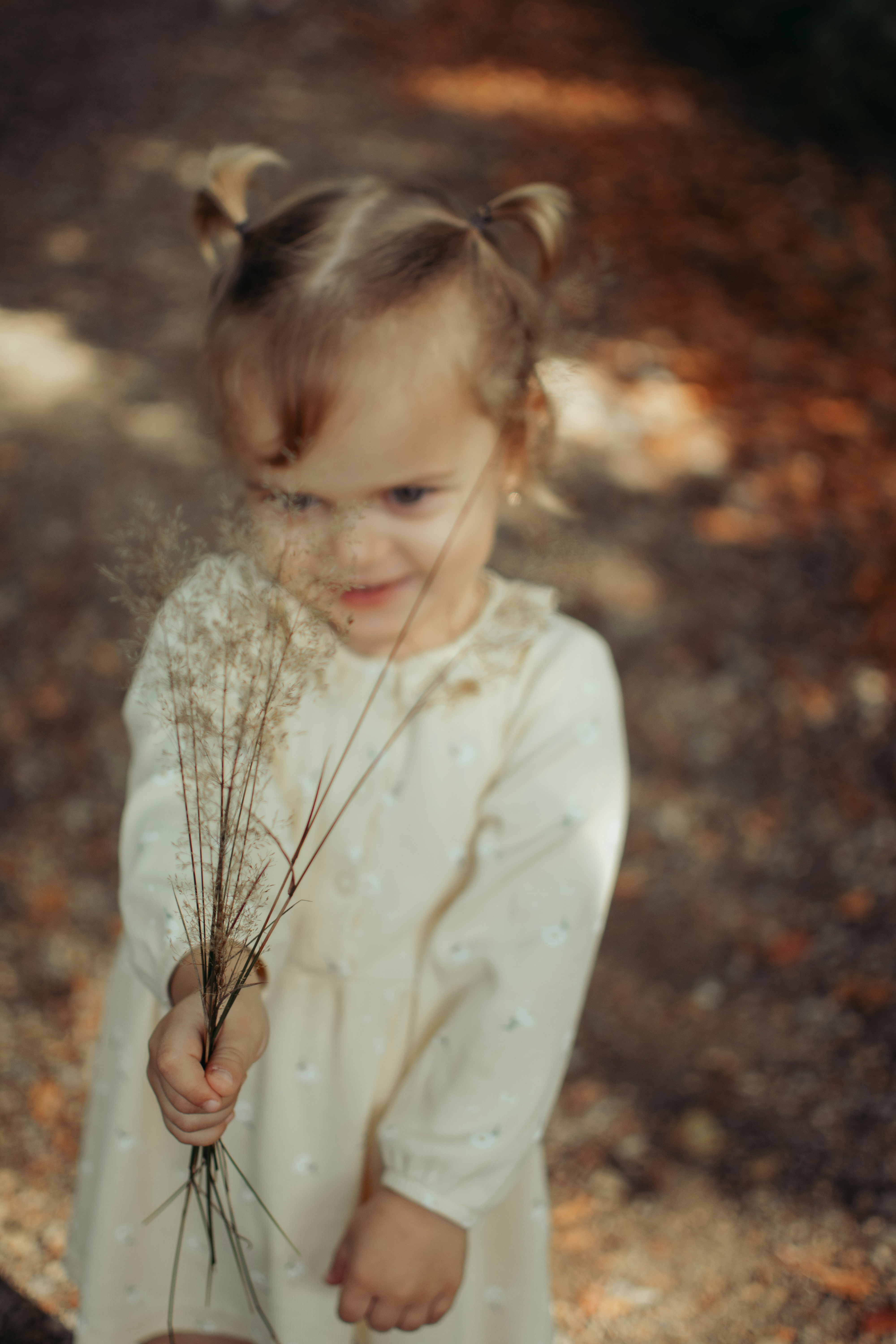 Teaching Gratitude (Little Ways to Practice Thankfulness This Fall)