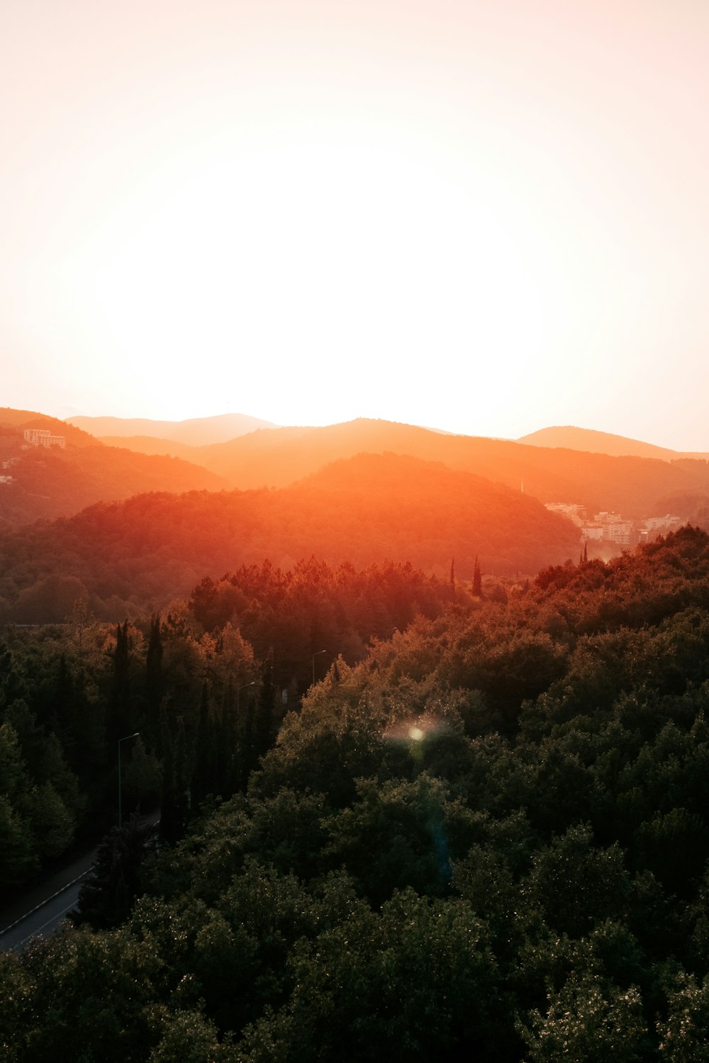 a view of a forest