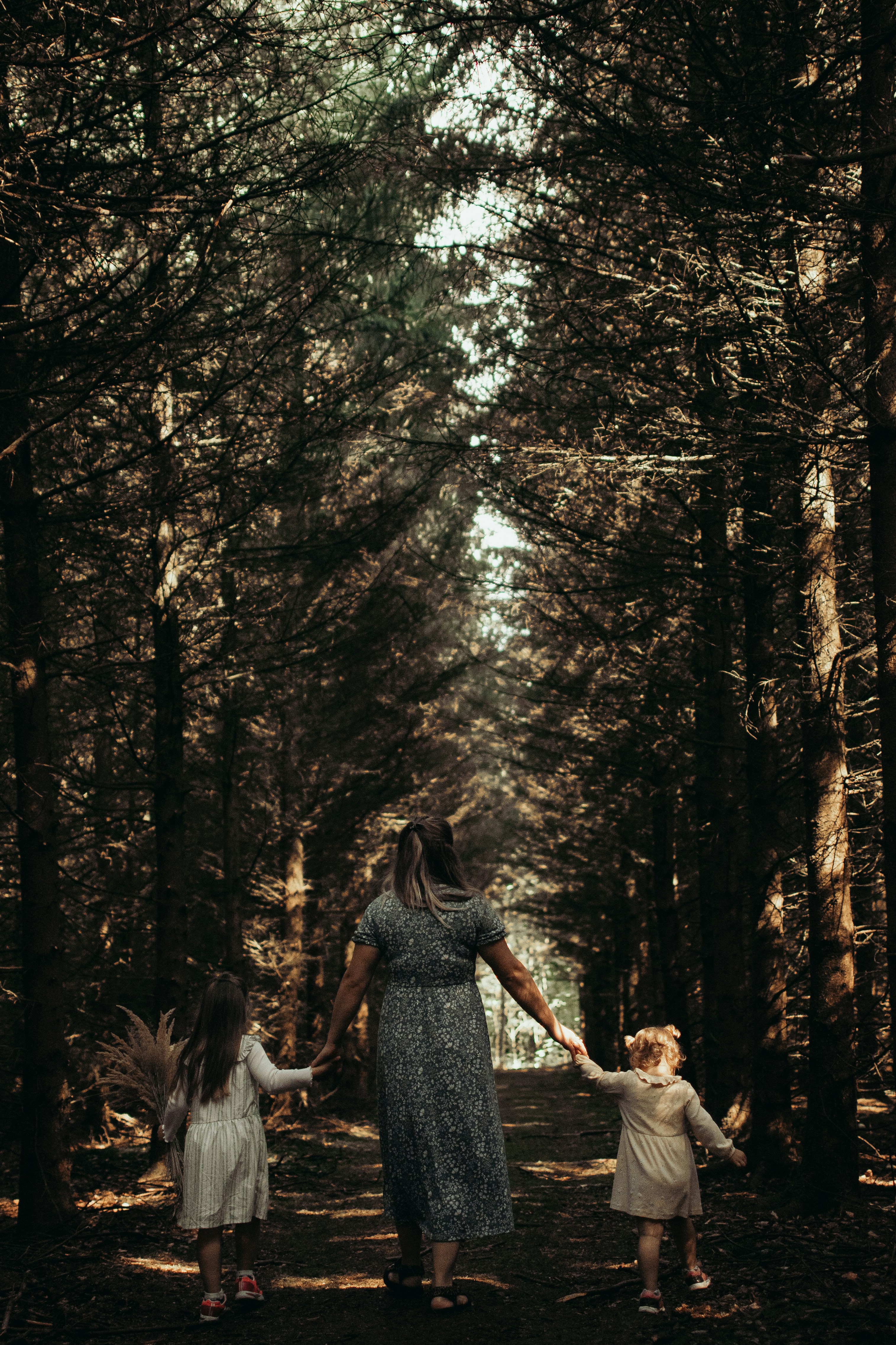a person and two children walking through a forest