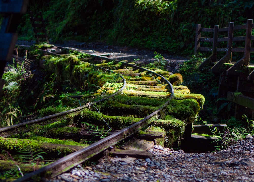 a stream with a bridge over it