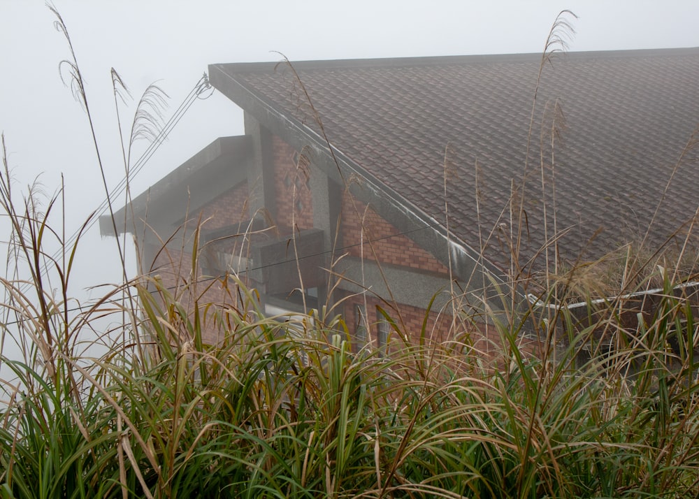 um edifício com um campo de grama