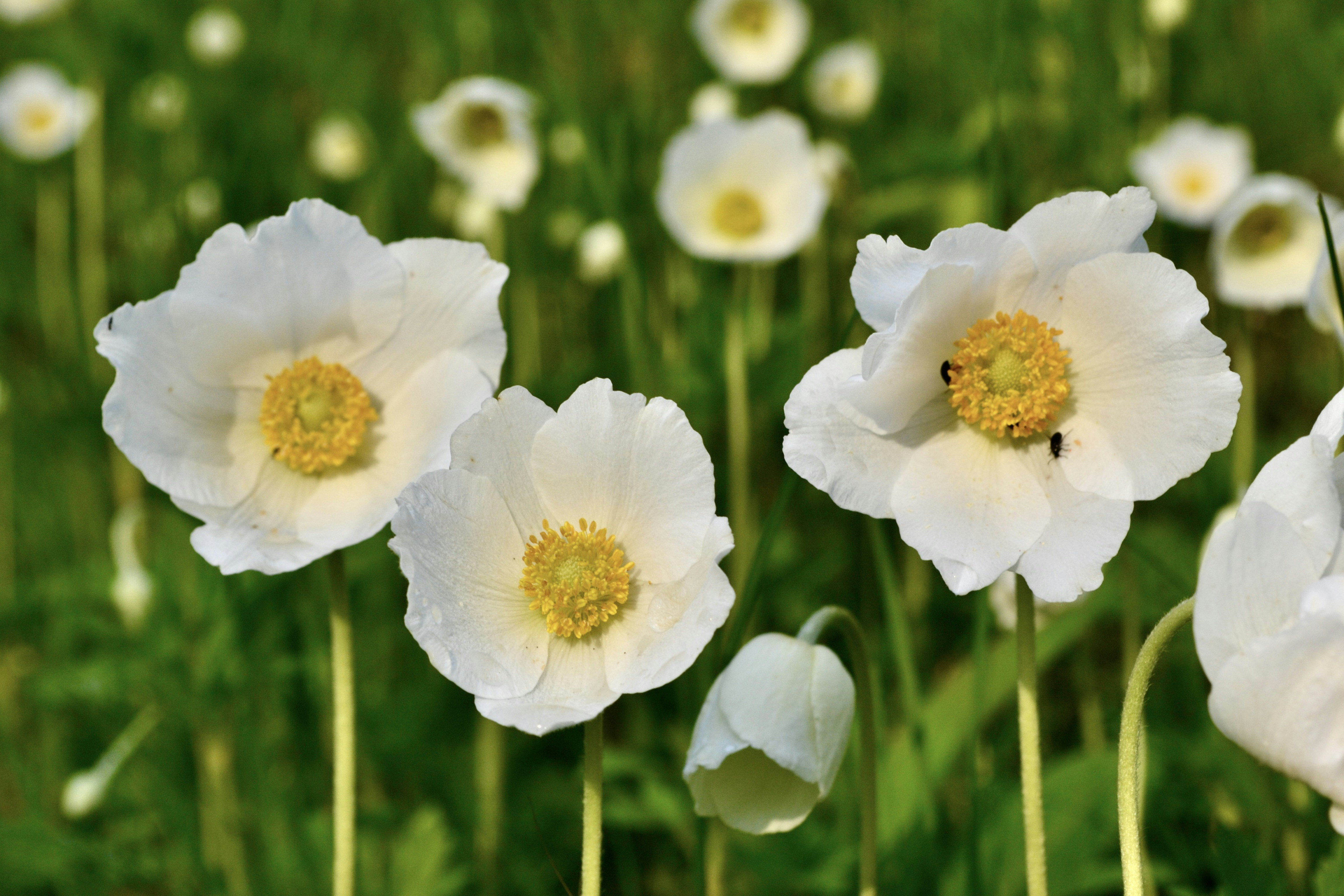 Photo by evgenslavin