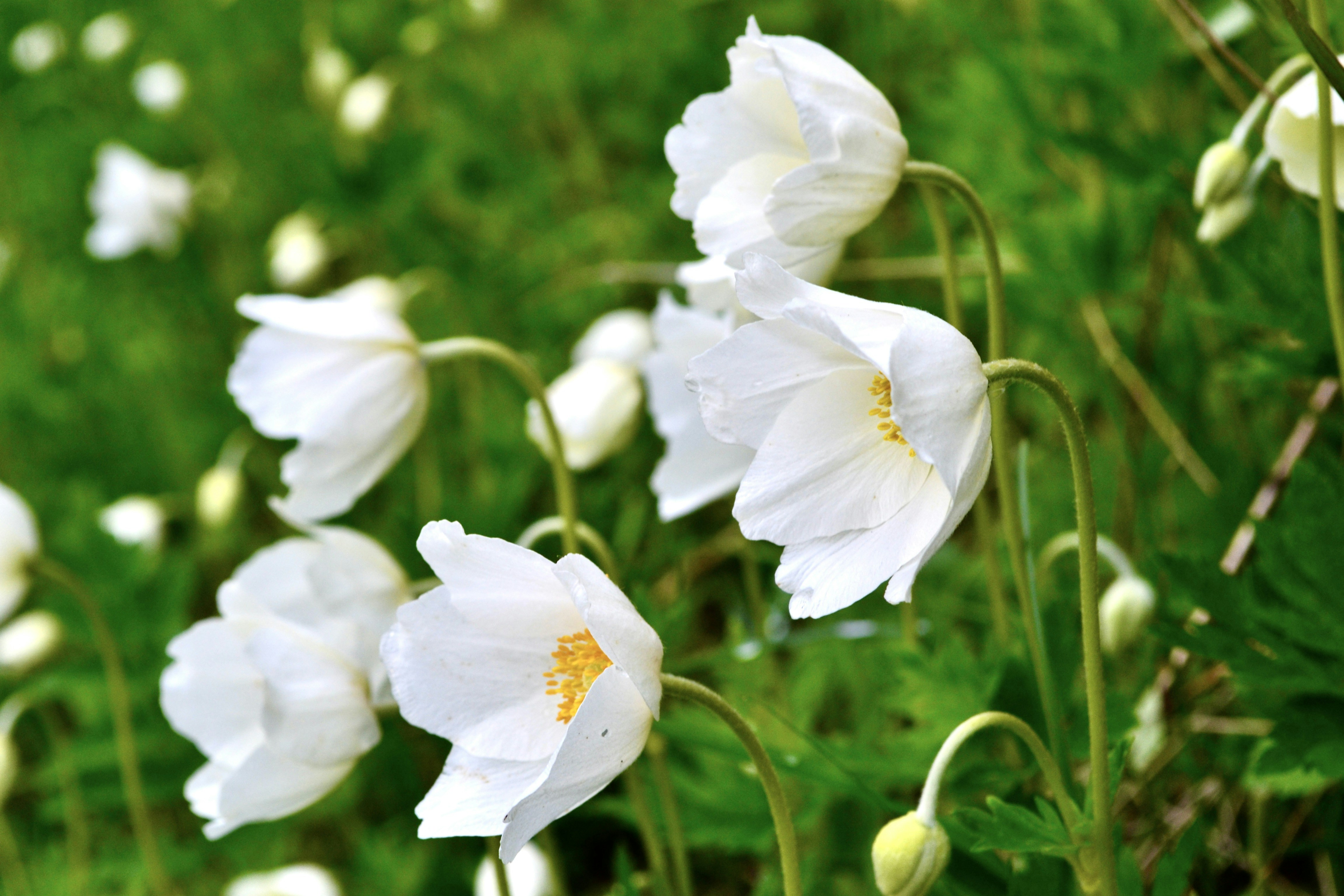 Photo by evgenslavin