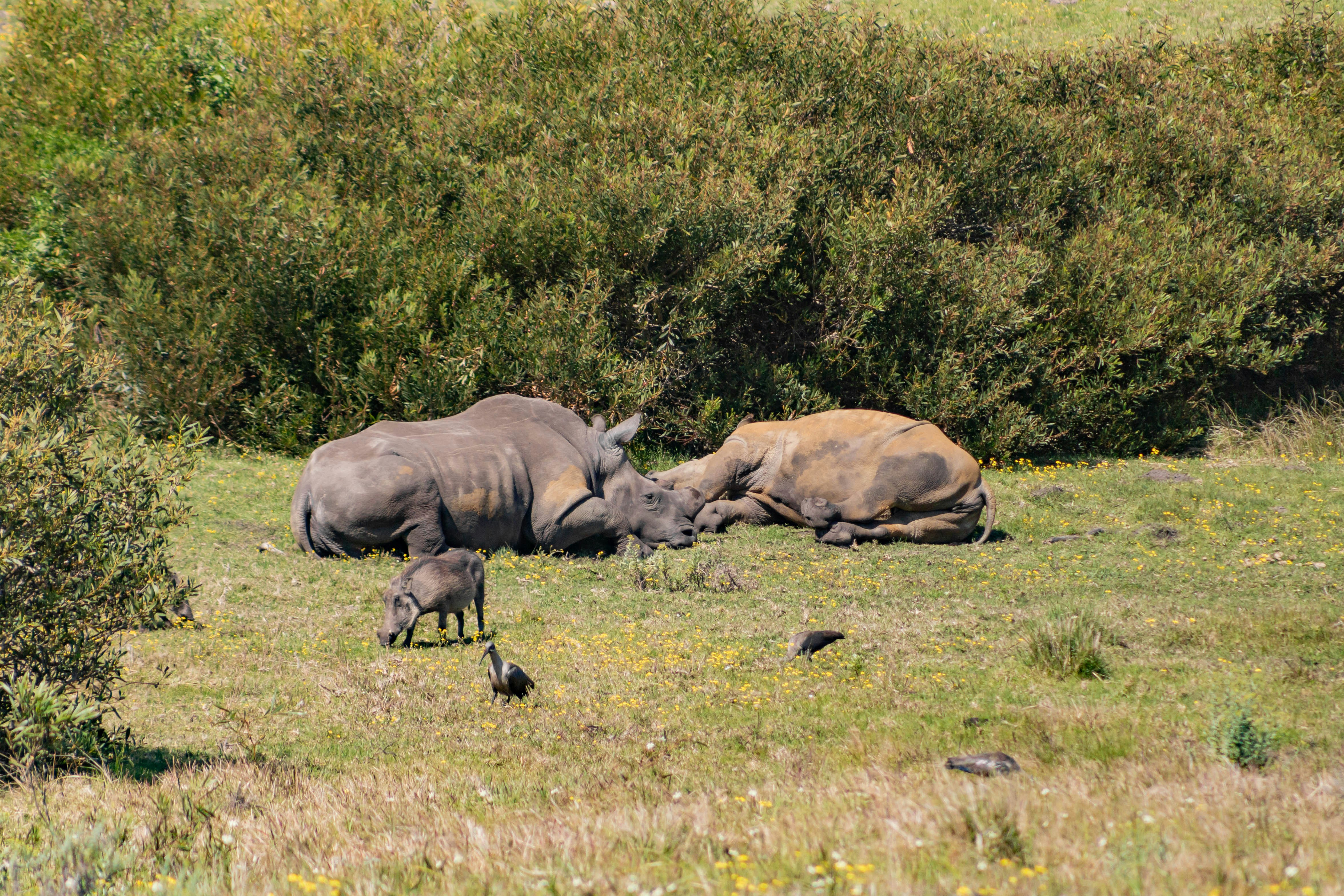 Photo by sincerelymedia