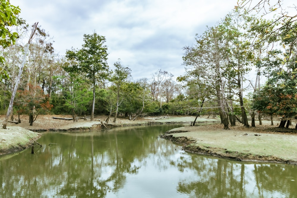 a body of water with trees around it