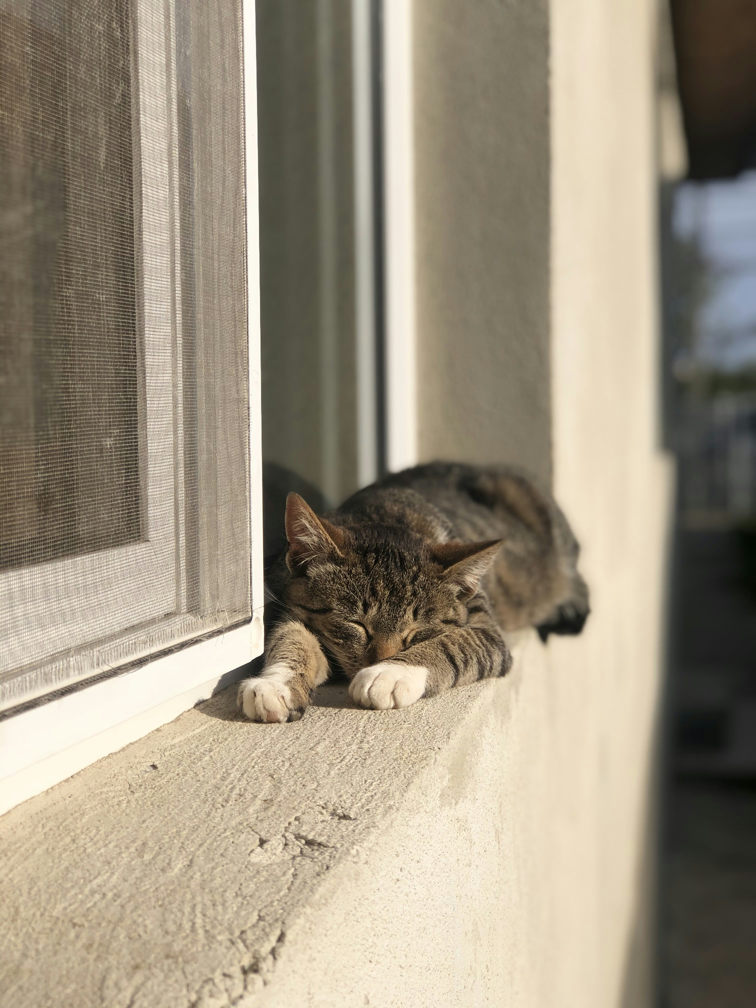 Strategic Sleeping Spots (image credits: unsplash)