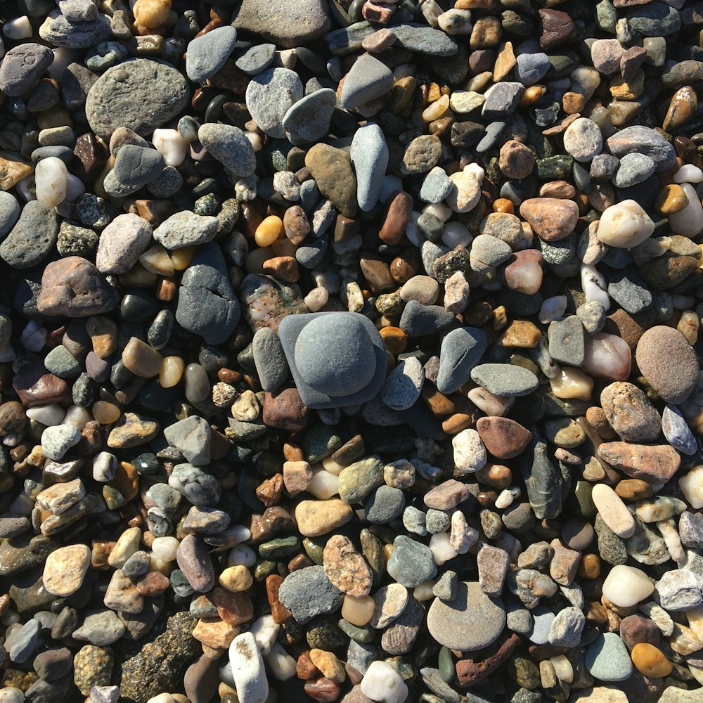 a group of rocks