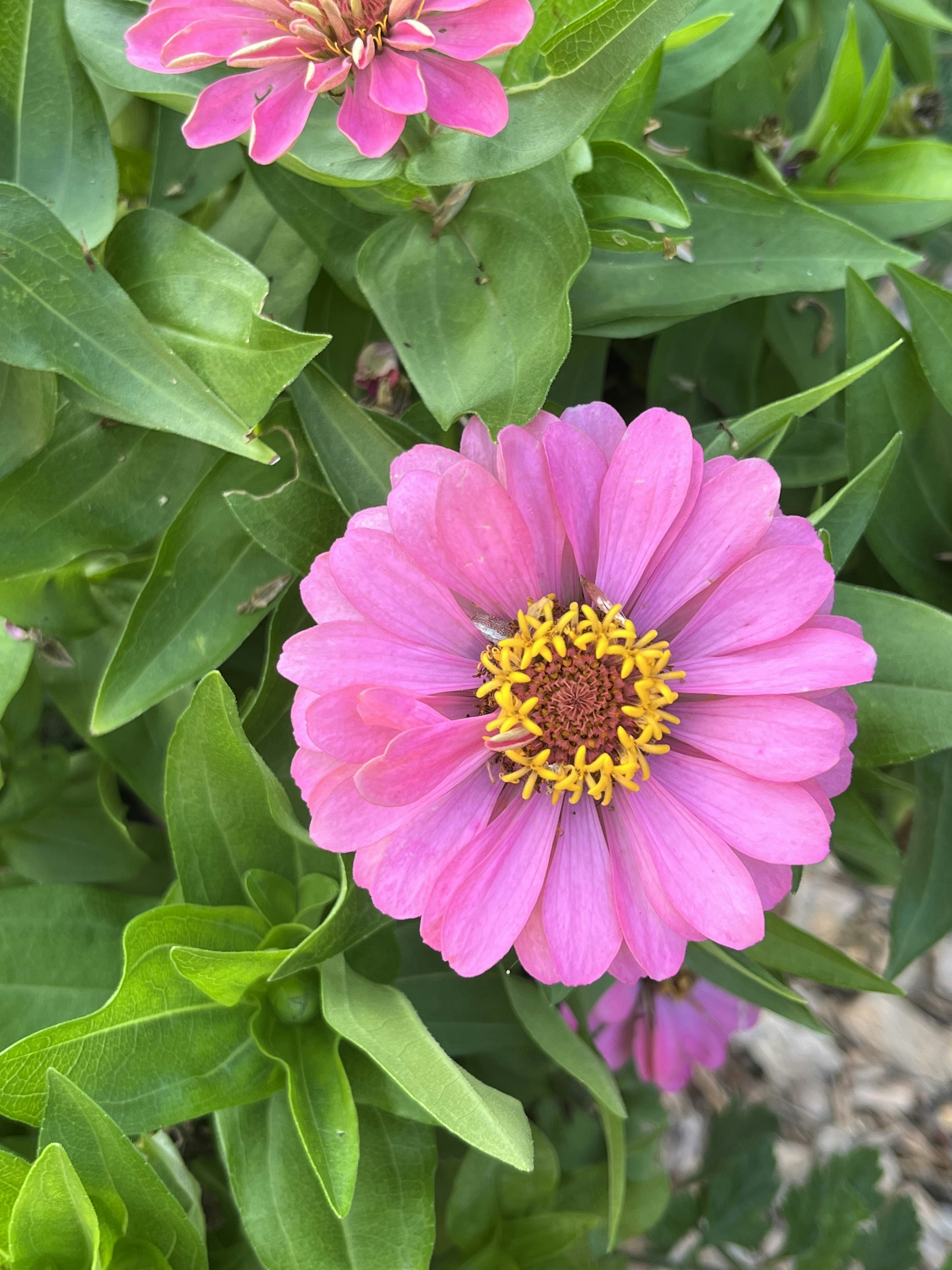 Photo by desiree_cole