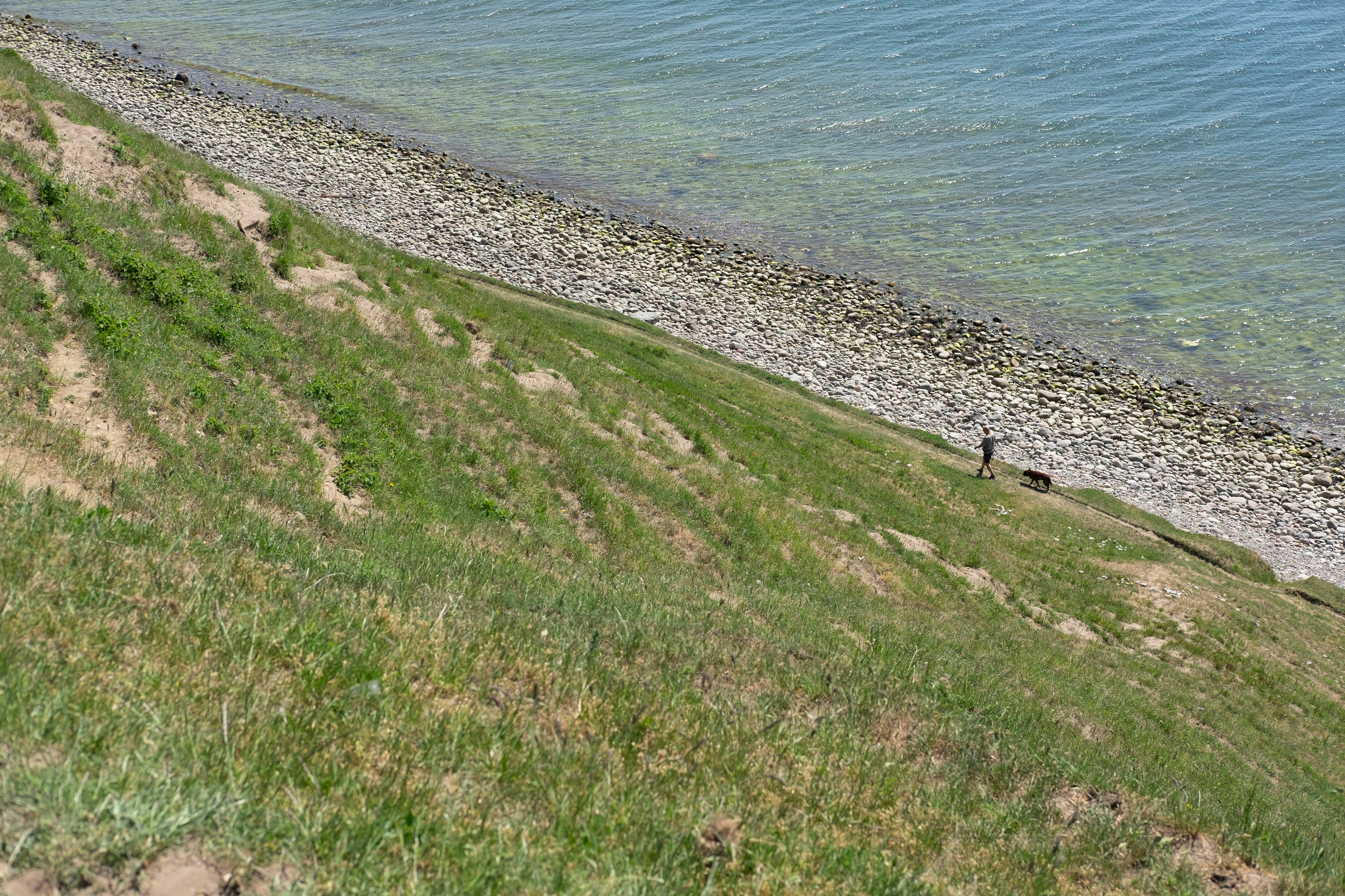 a person walking on a path by a body of water