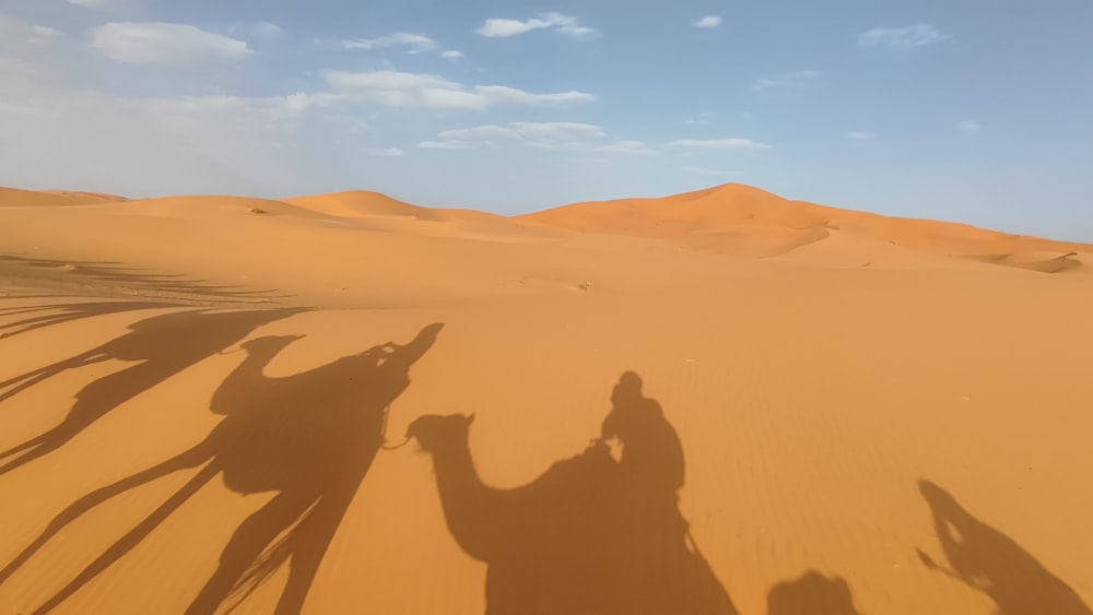 a group of people's shadows in the sand