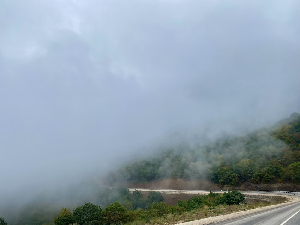 a road with trees and fog