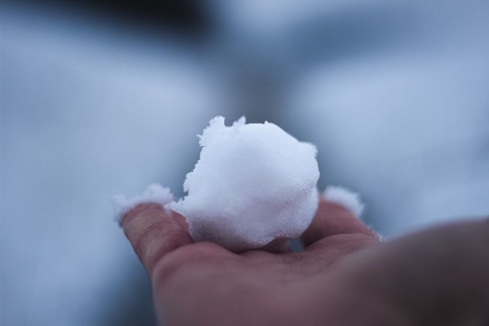 a hand holding a white powdery object