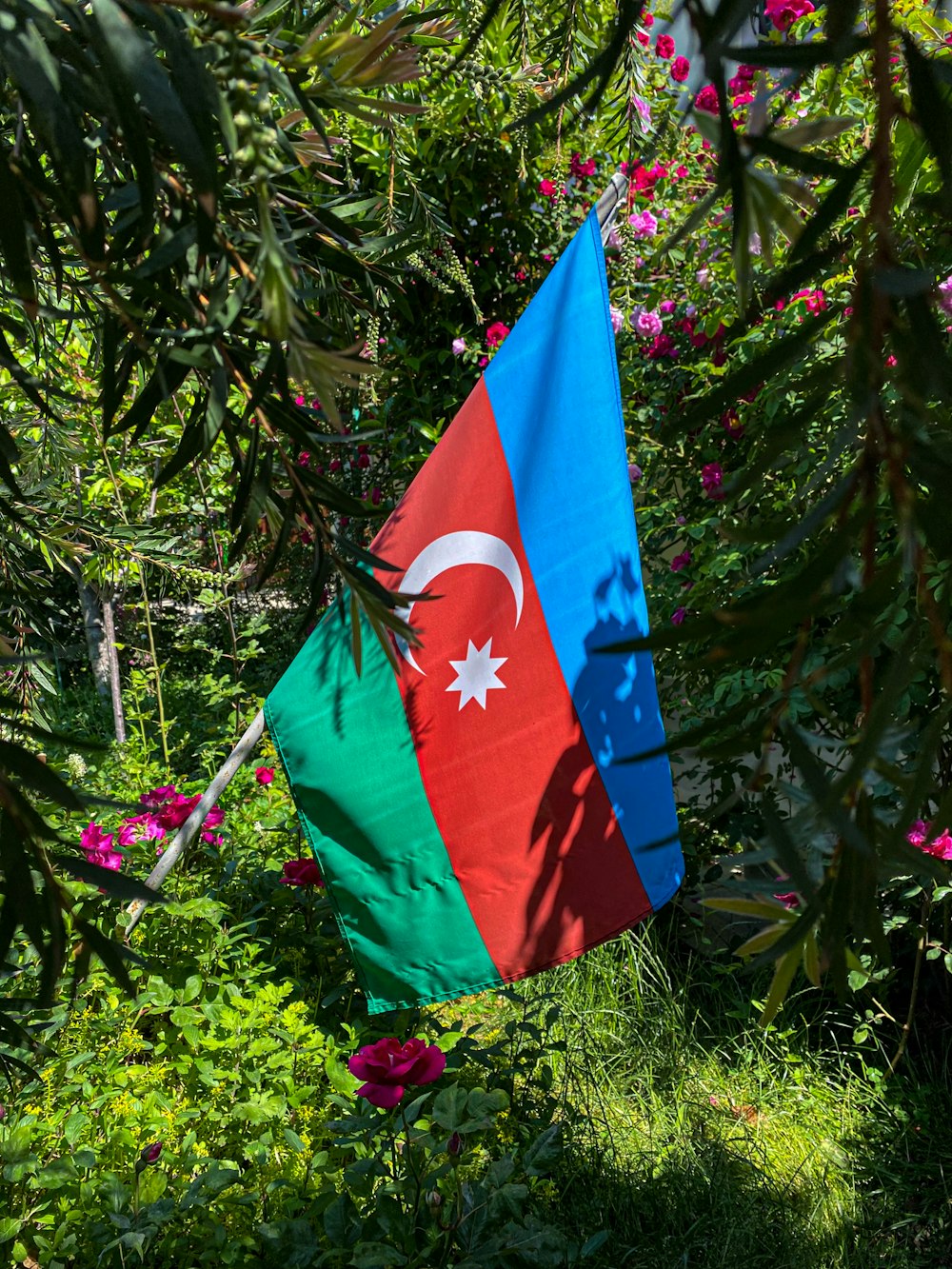 a flag from a tree