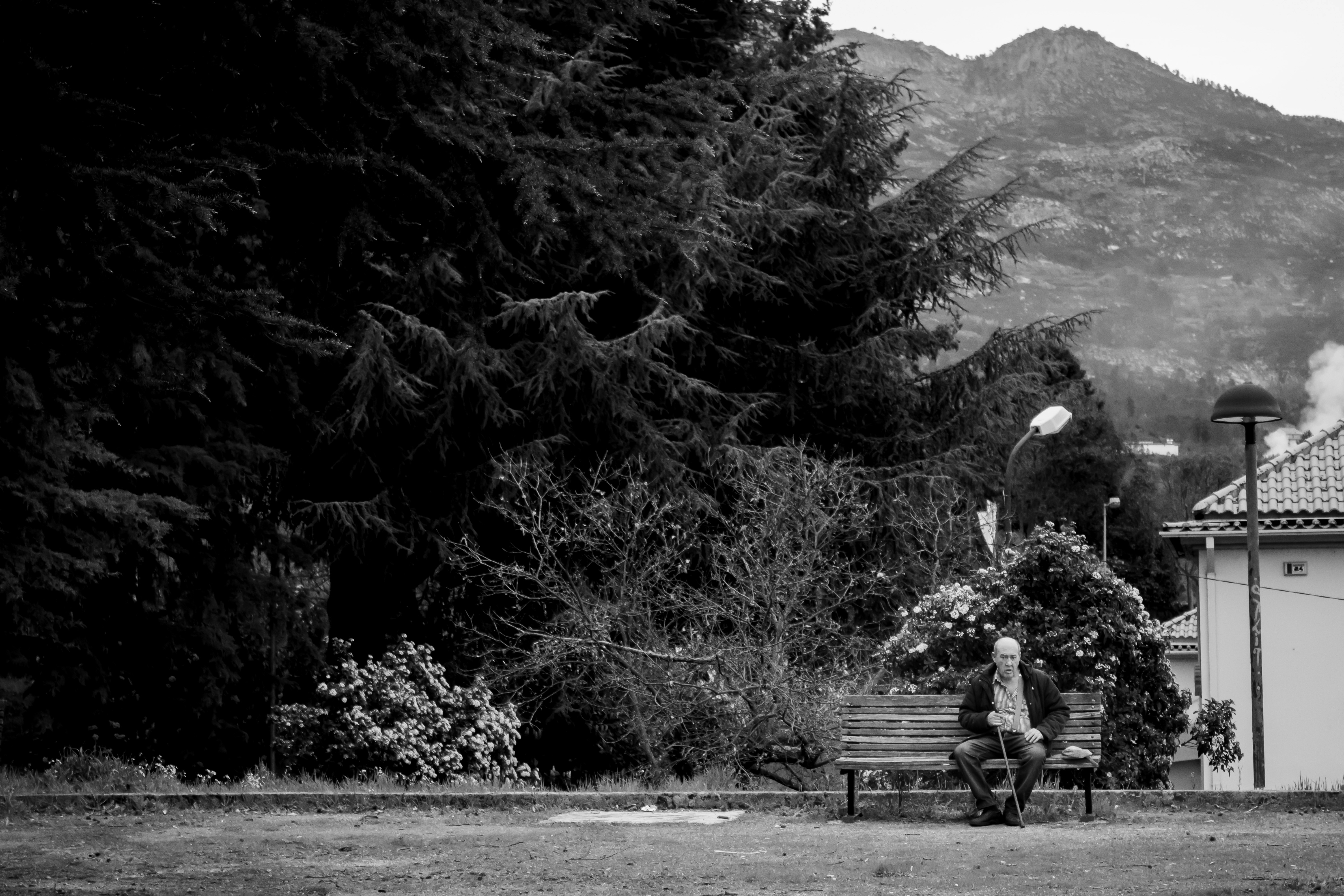 A man sitting on a bench photo – Free Old person Image on Unsplash