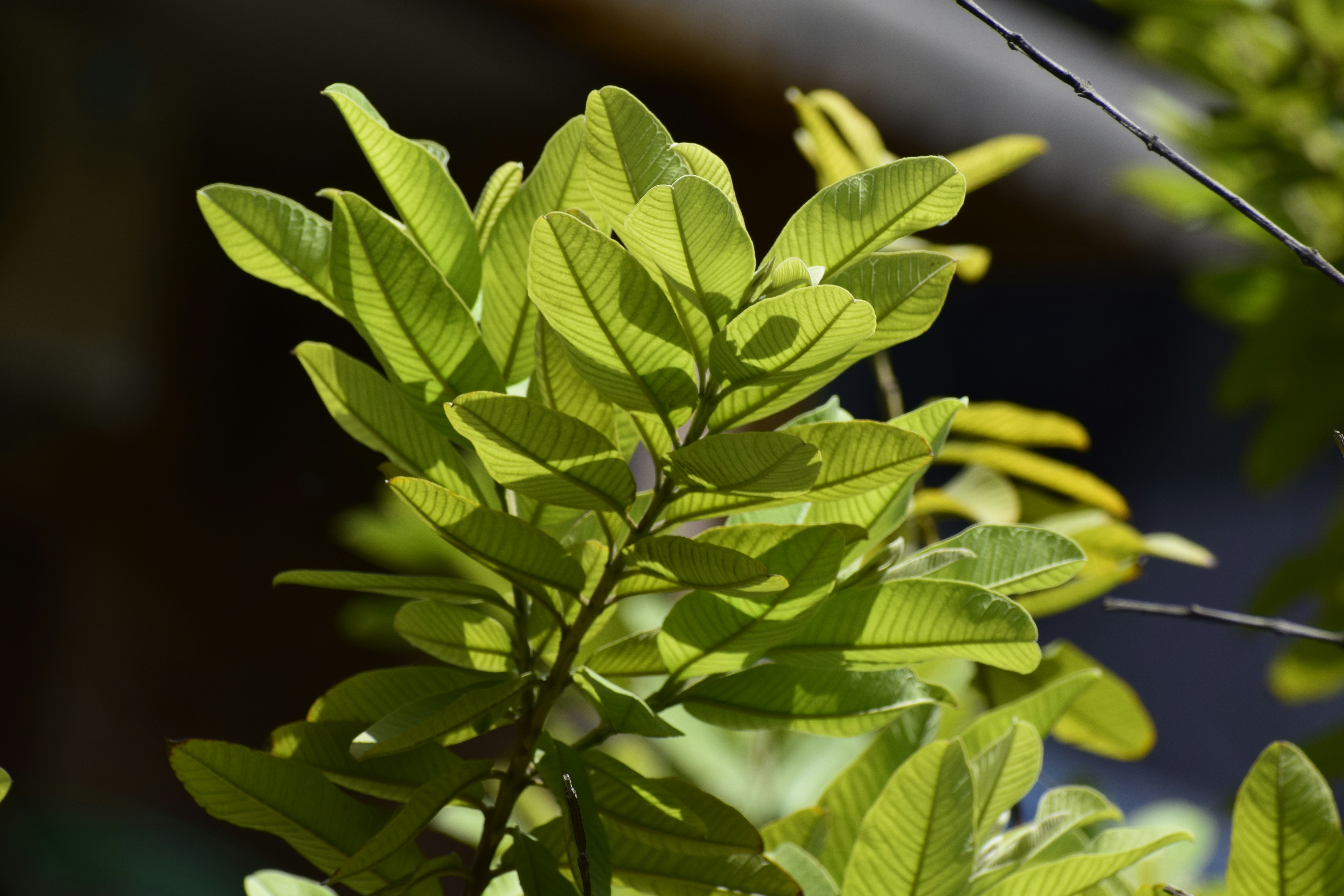 Photo by fastforwardguy