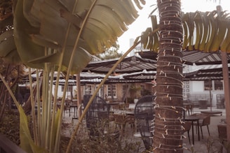 An inviting outdoor patio space perfect for relaxing evenings, maintained by americanave property management.