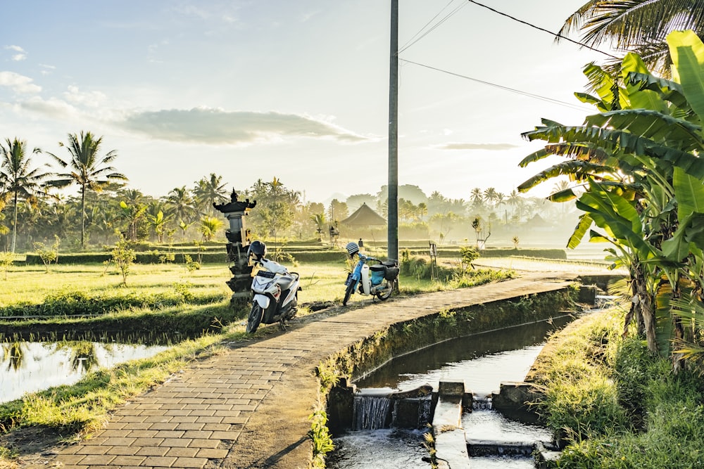 a couple of motorbikes on a road with water on the side