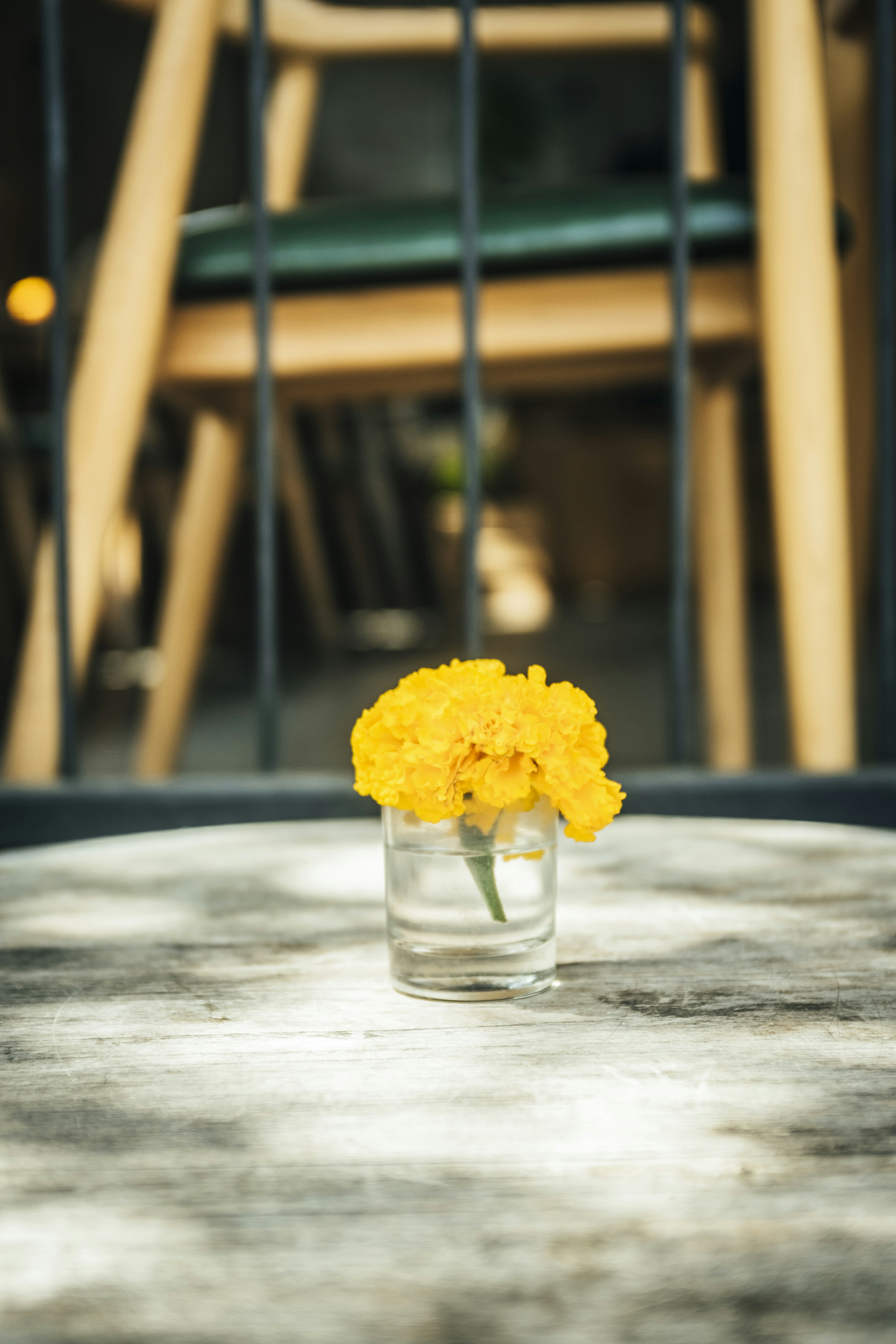 Photo by bernardhermant