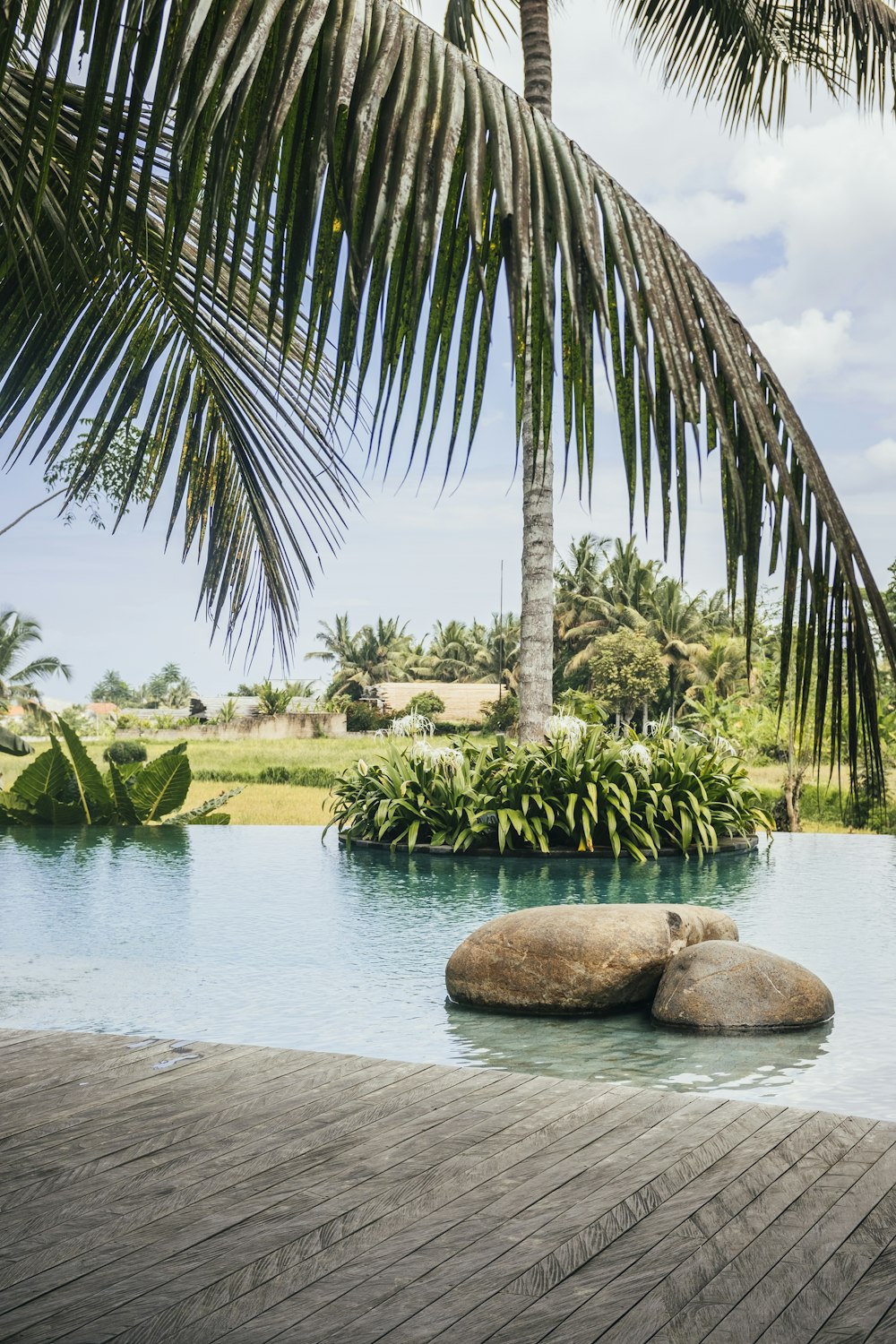 a body of water with trees and plants around it