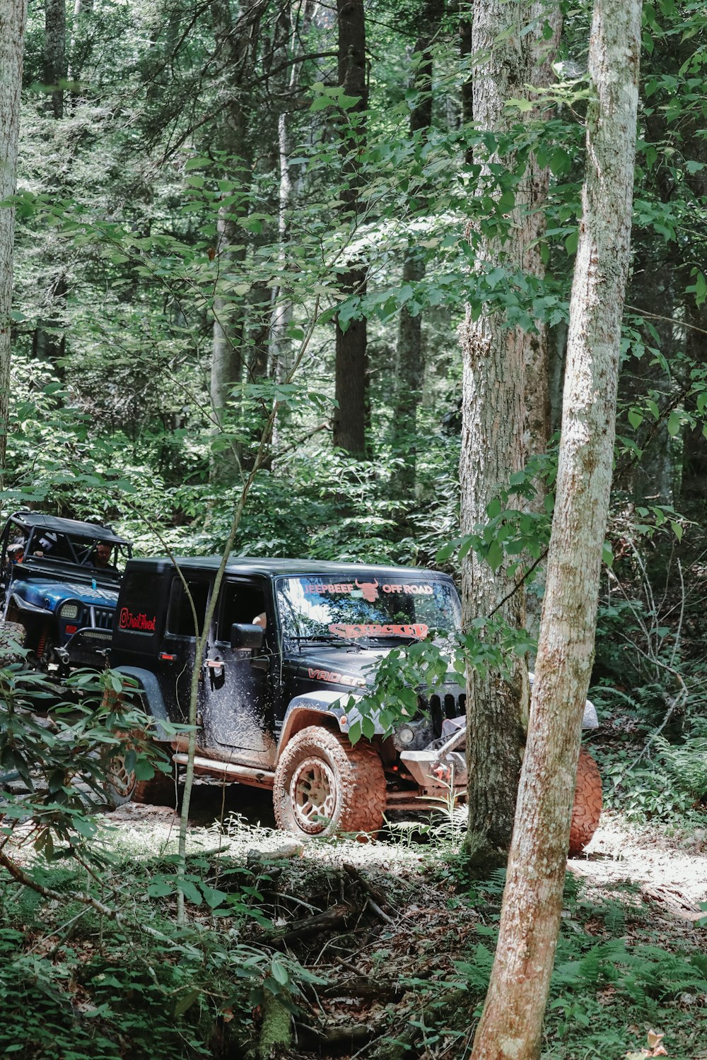 a truck parked in the woods