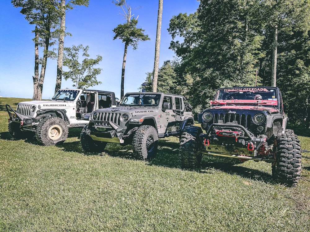 a group of vehicles parked in a grassy field