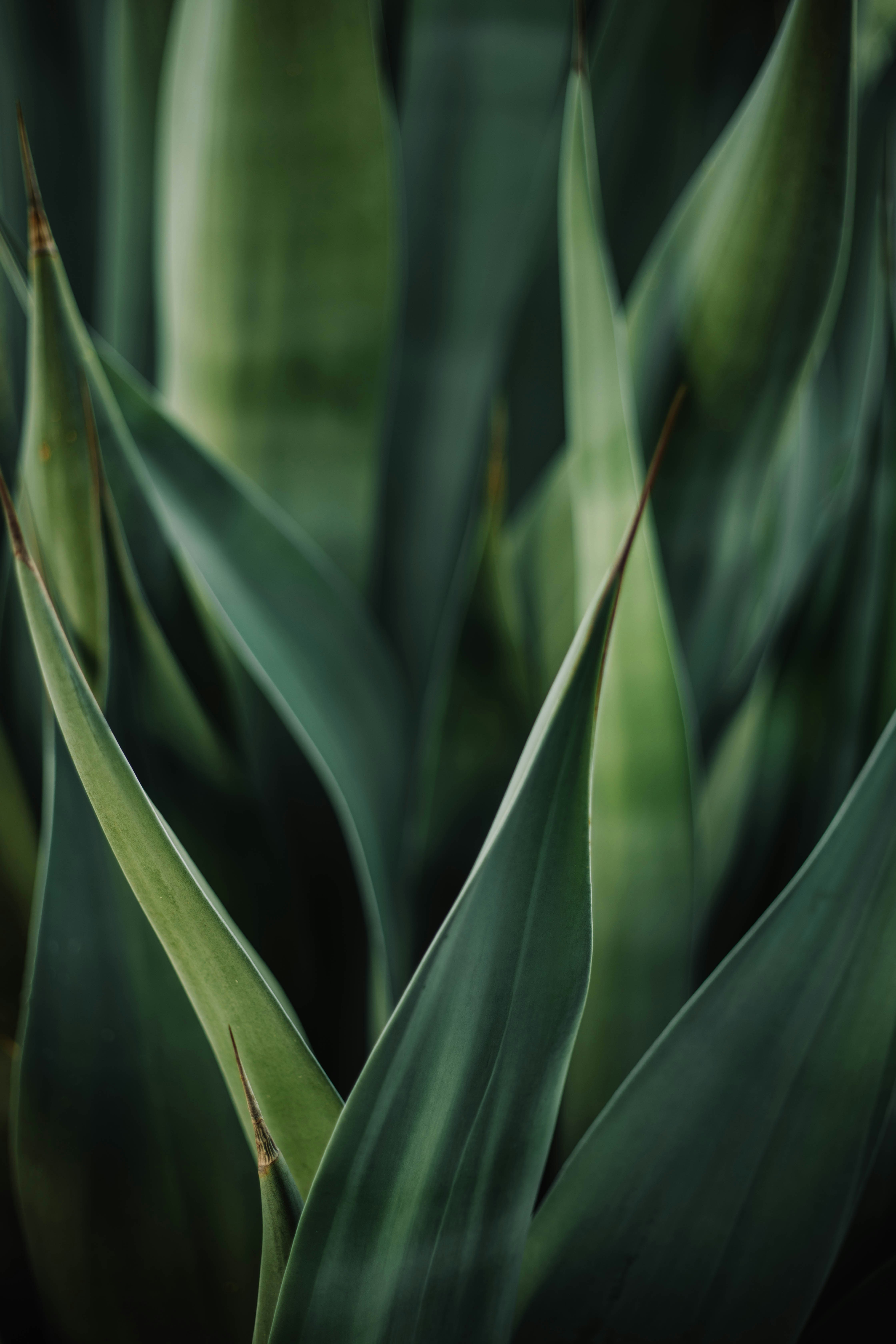 Photo by emilydillstrock