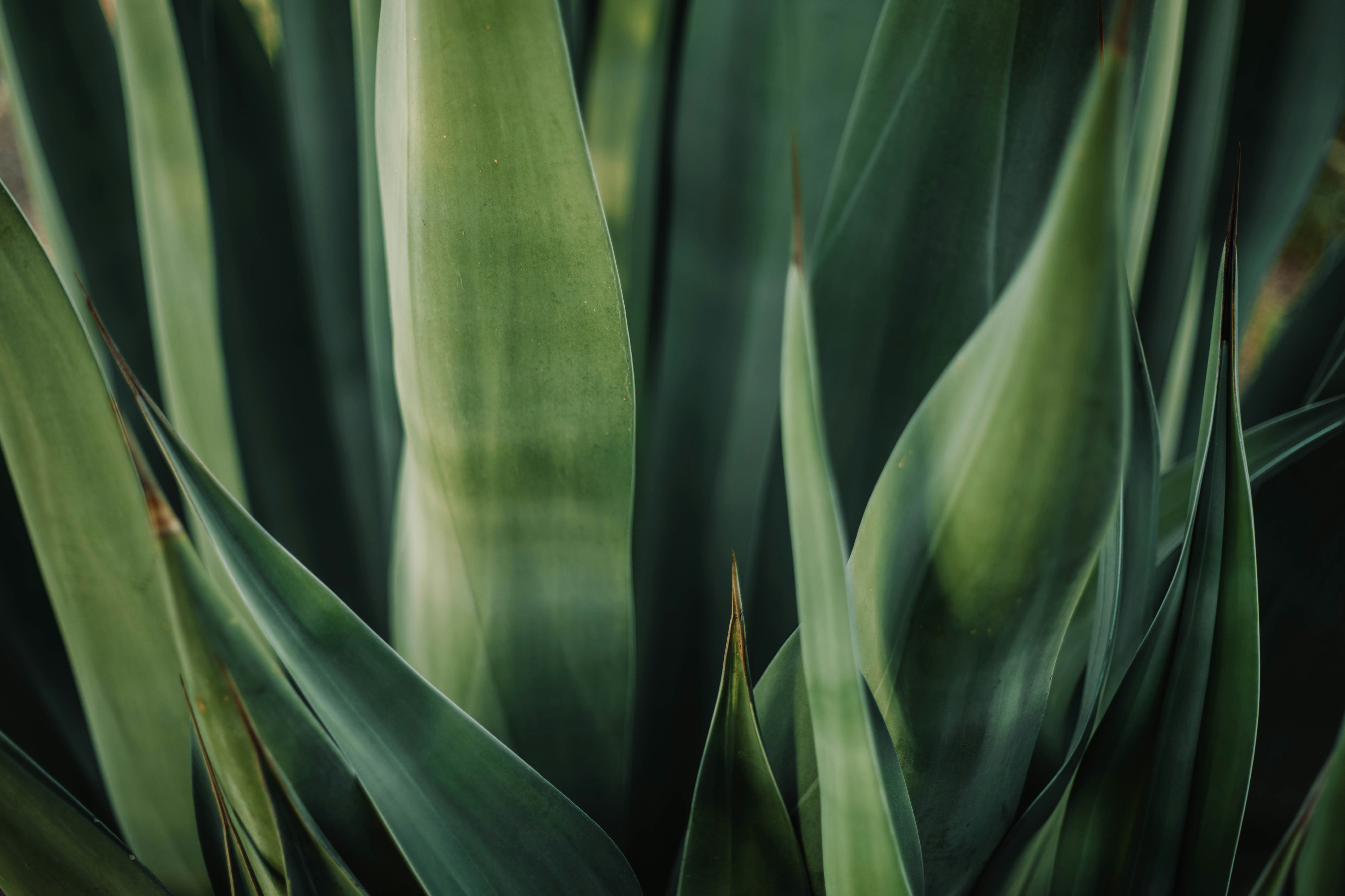 Photo by emilydillstrock