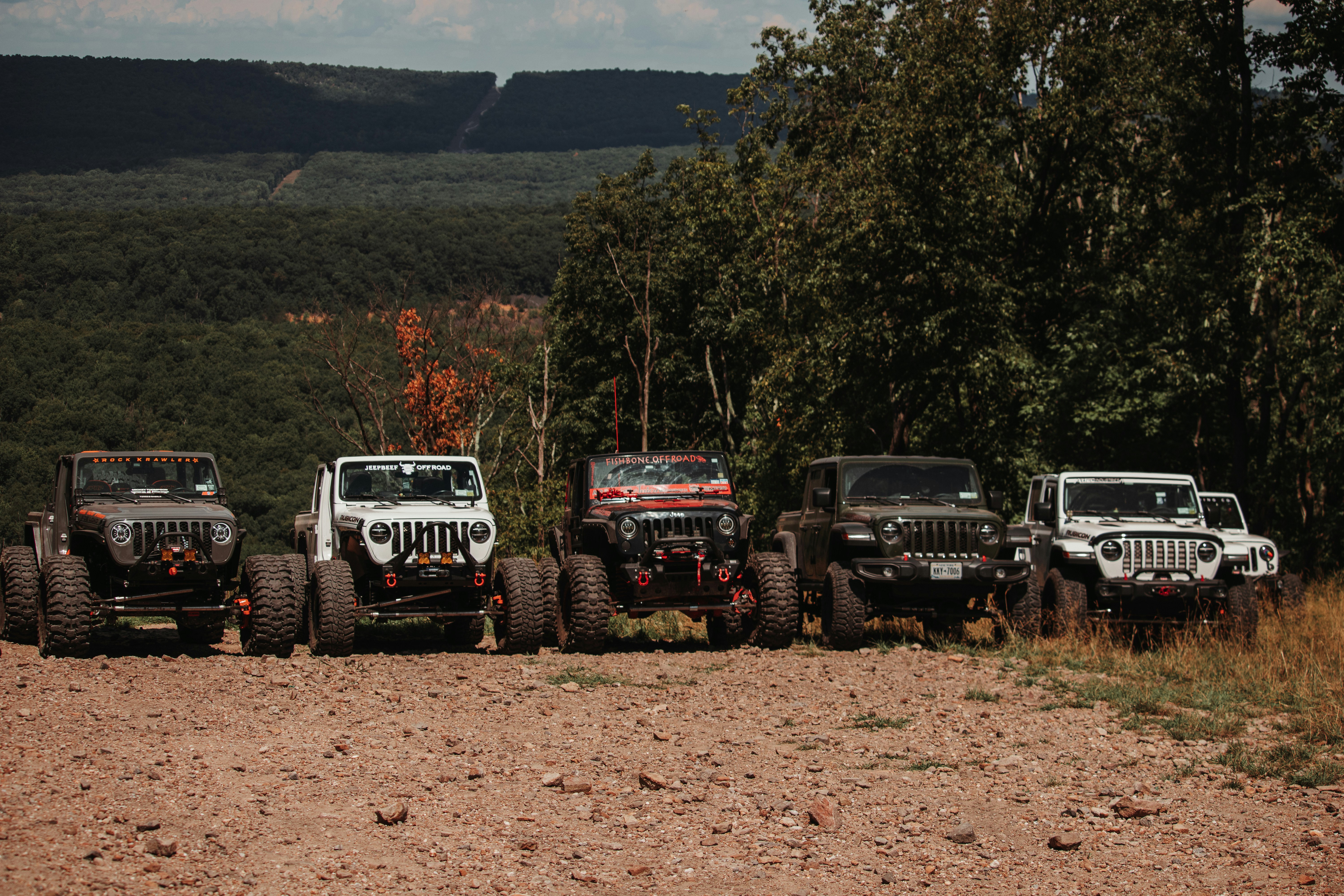 Diverse lineup of overland vehicles on trail - best overland vehicles