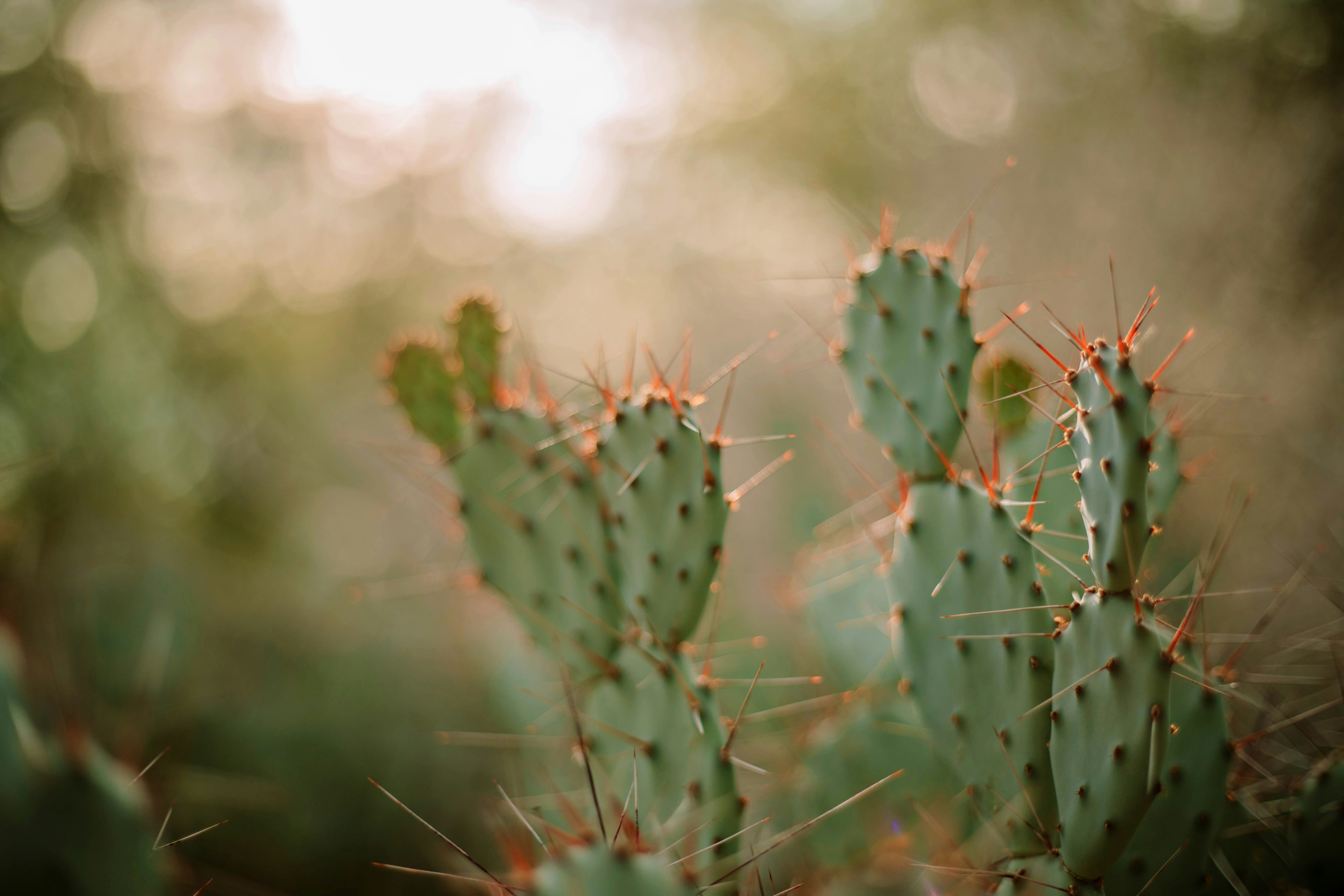 Photo by emilydillstrock