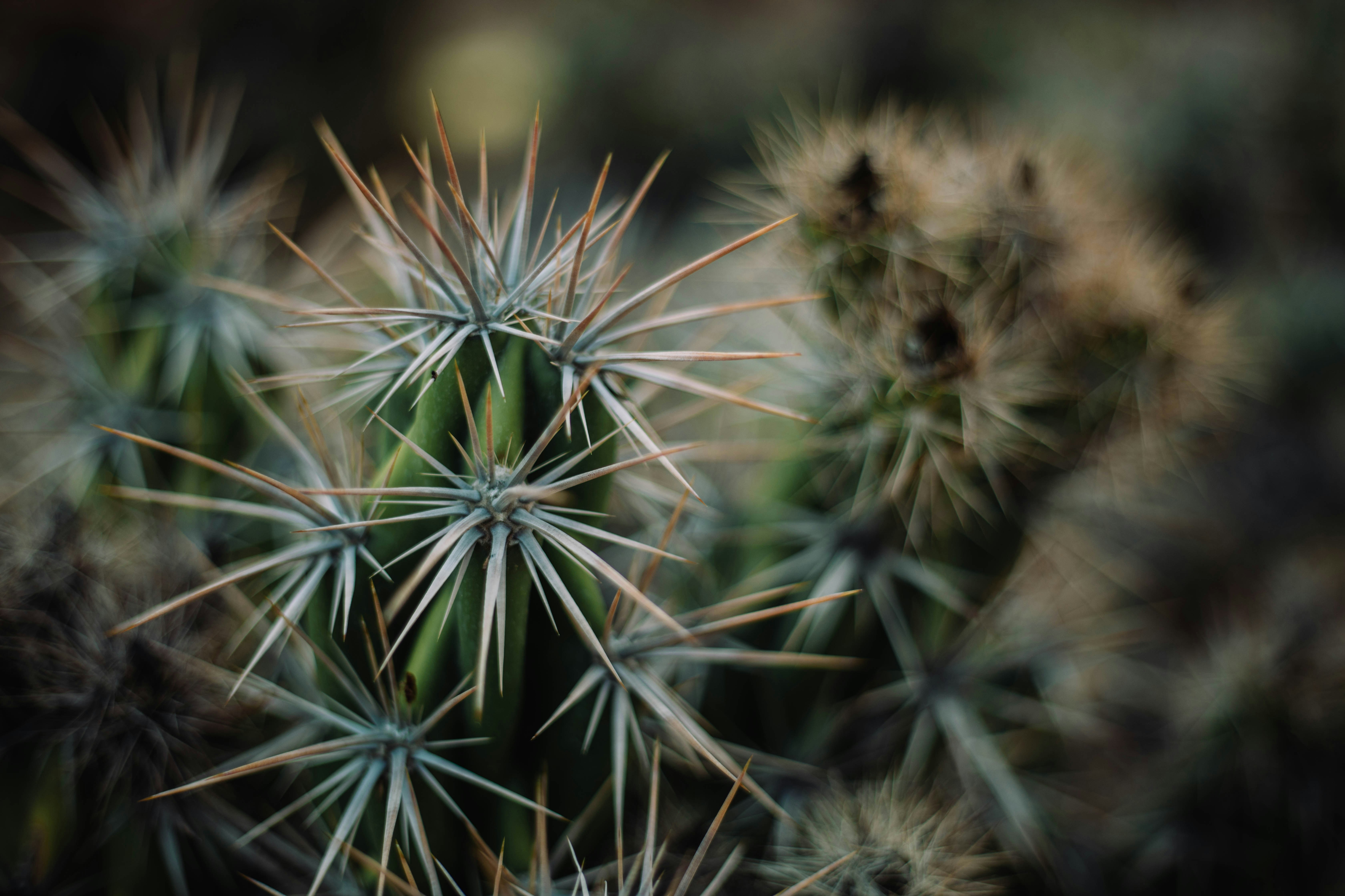 Photo by emilydillstrock