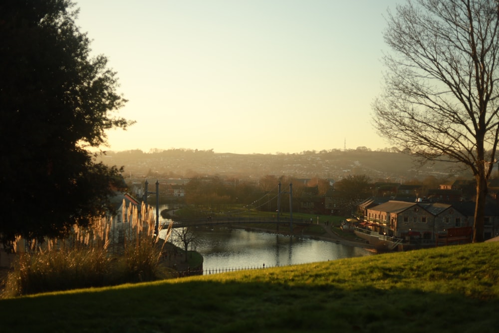 a river with grass and trees around it