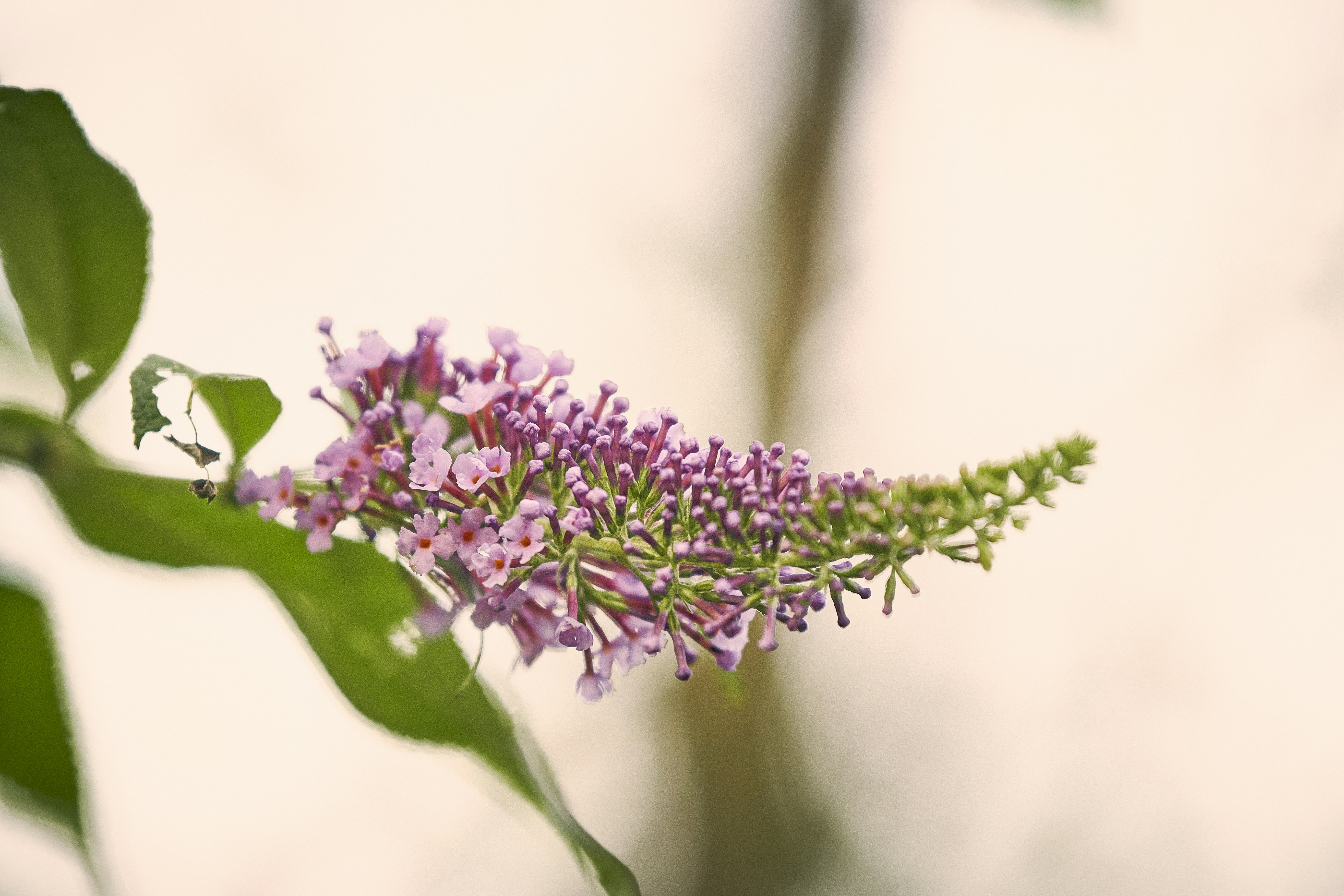 Photo by perfectmirror