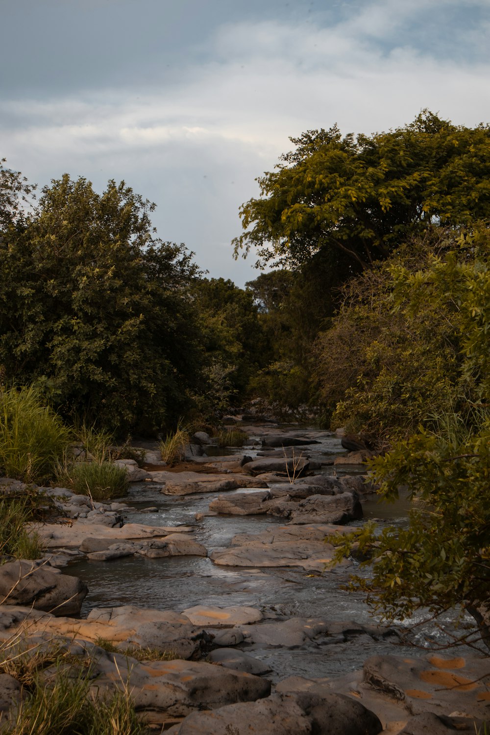 a river with rocks and trees