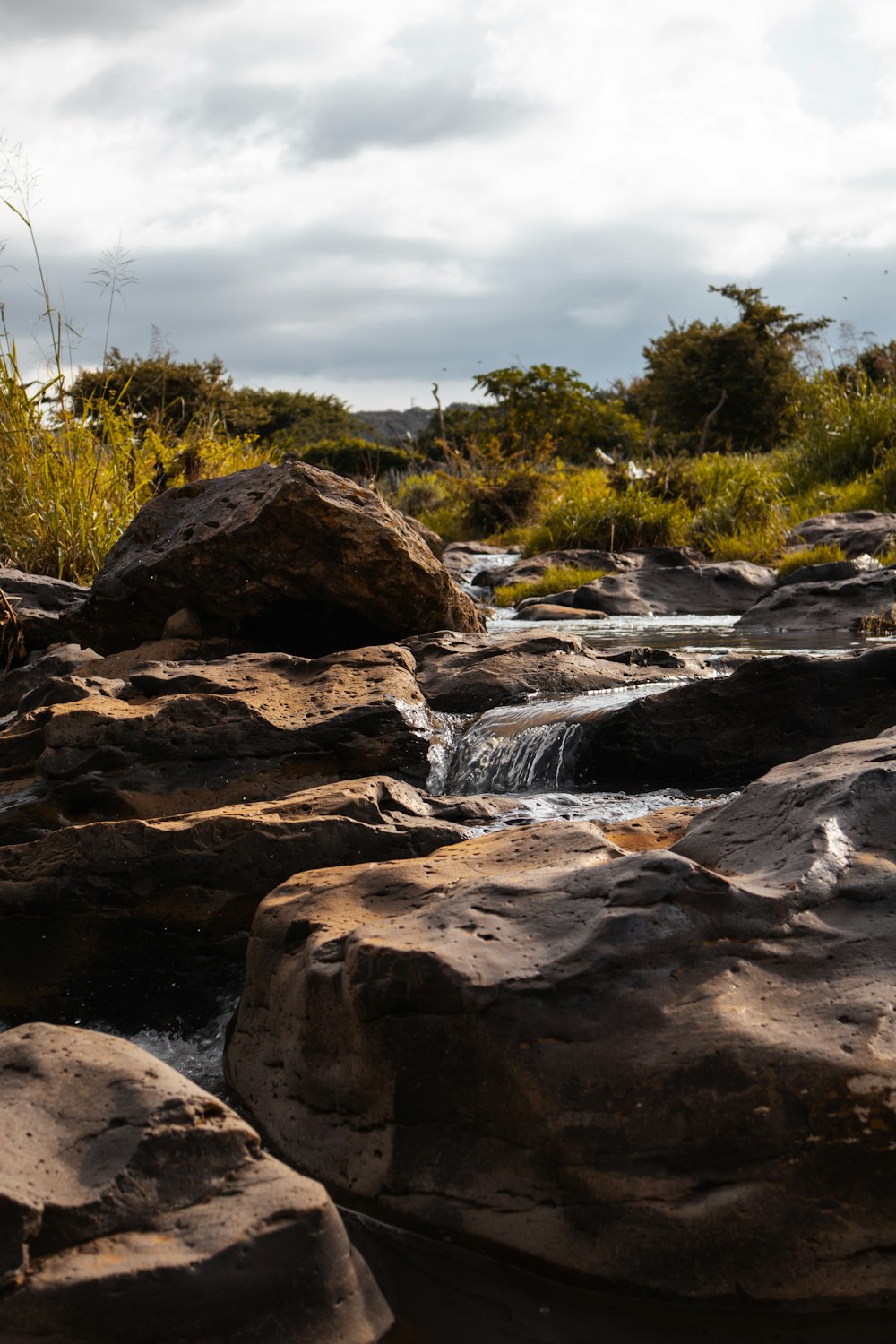 a river with rocks and plants