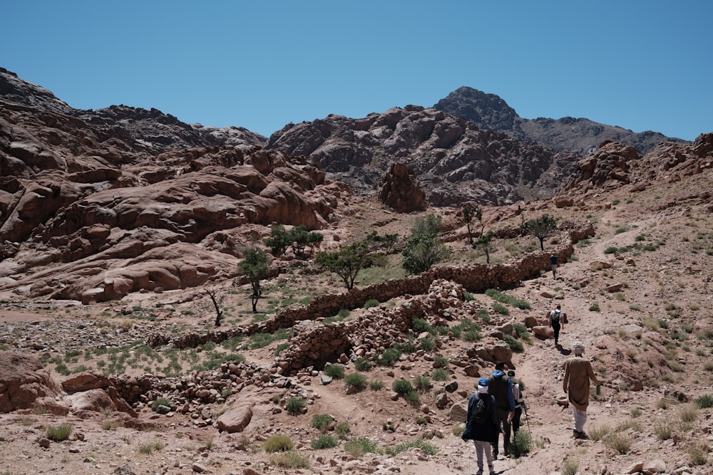 Un gruppo di persone che fanno escursioni nel deserto