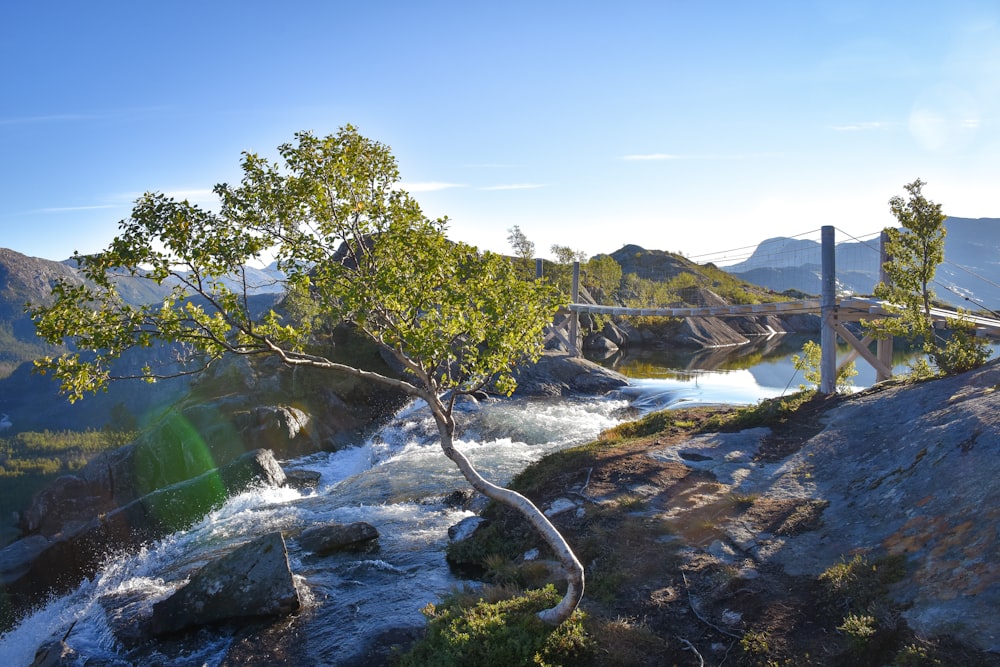 Une rivière avec un pont et des arbres