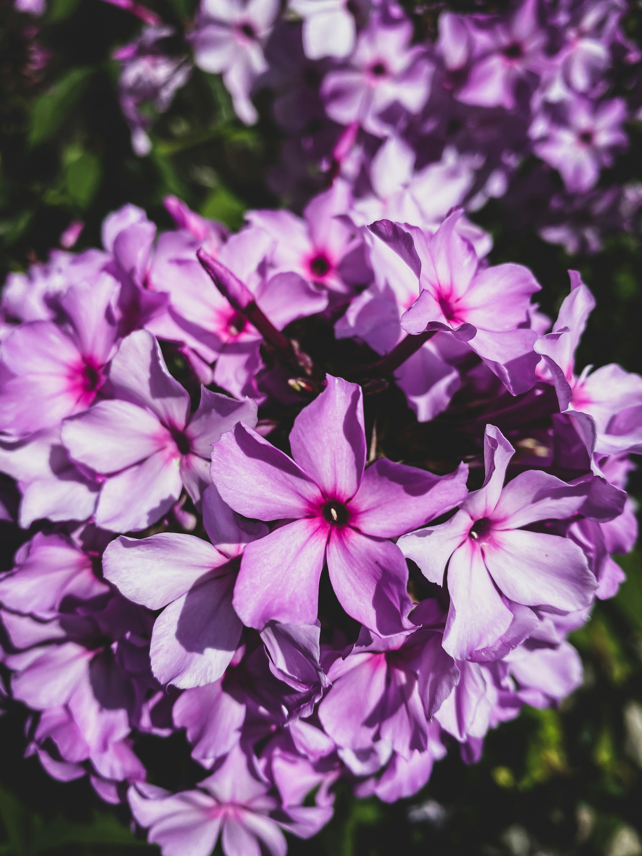 Photo by lxnndaireach