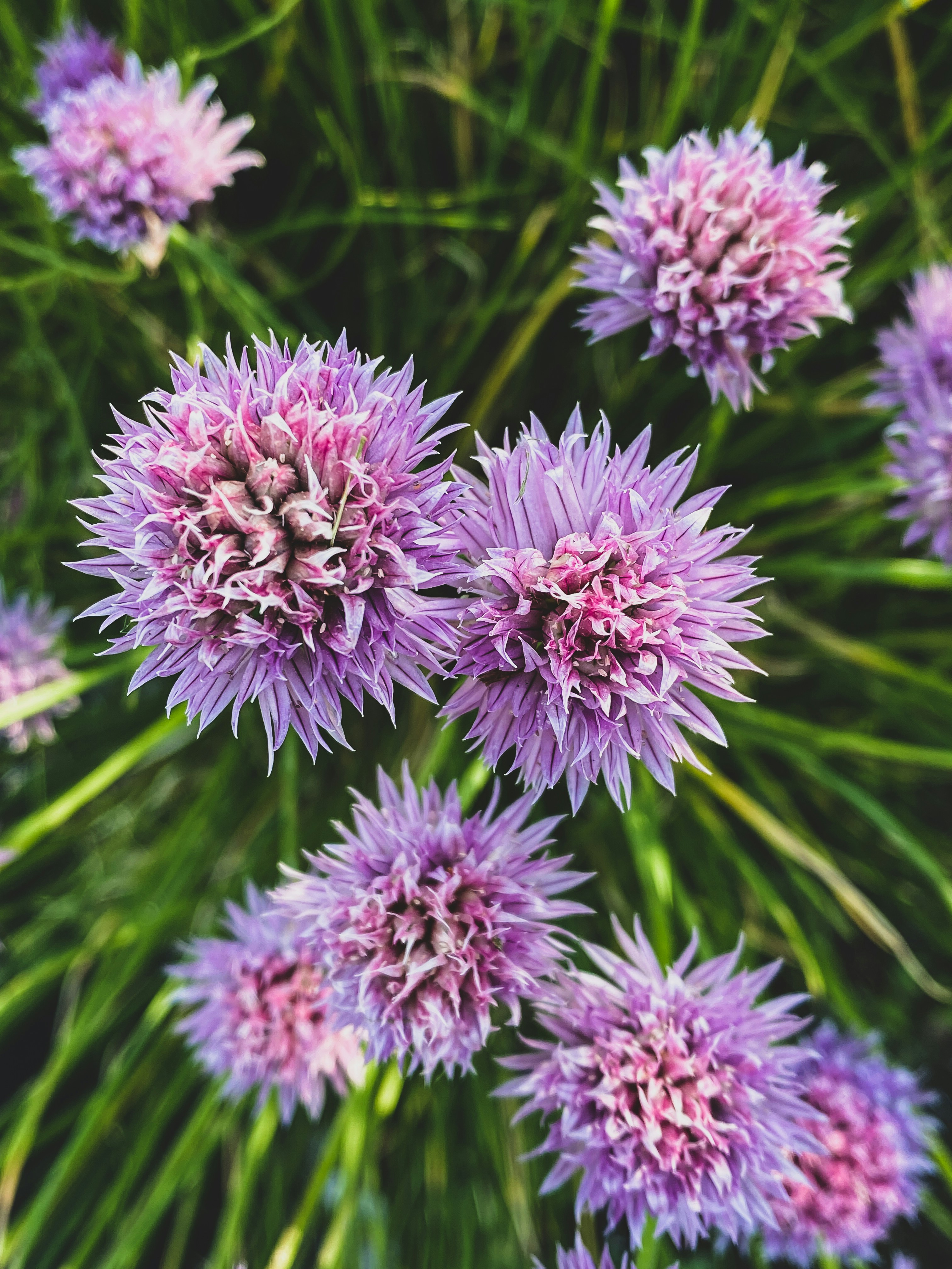 Photo by lxnndaireach