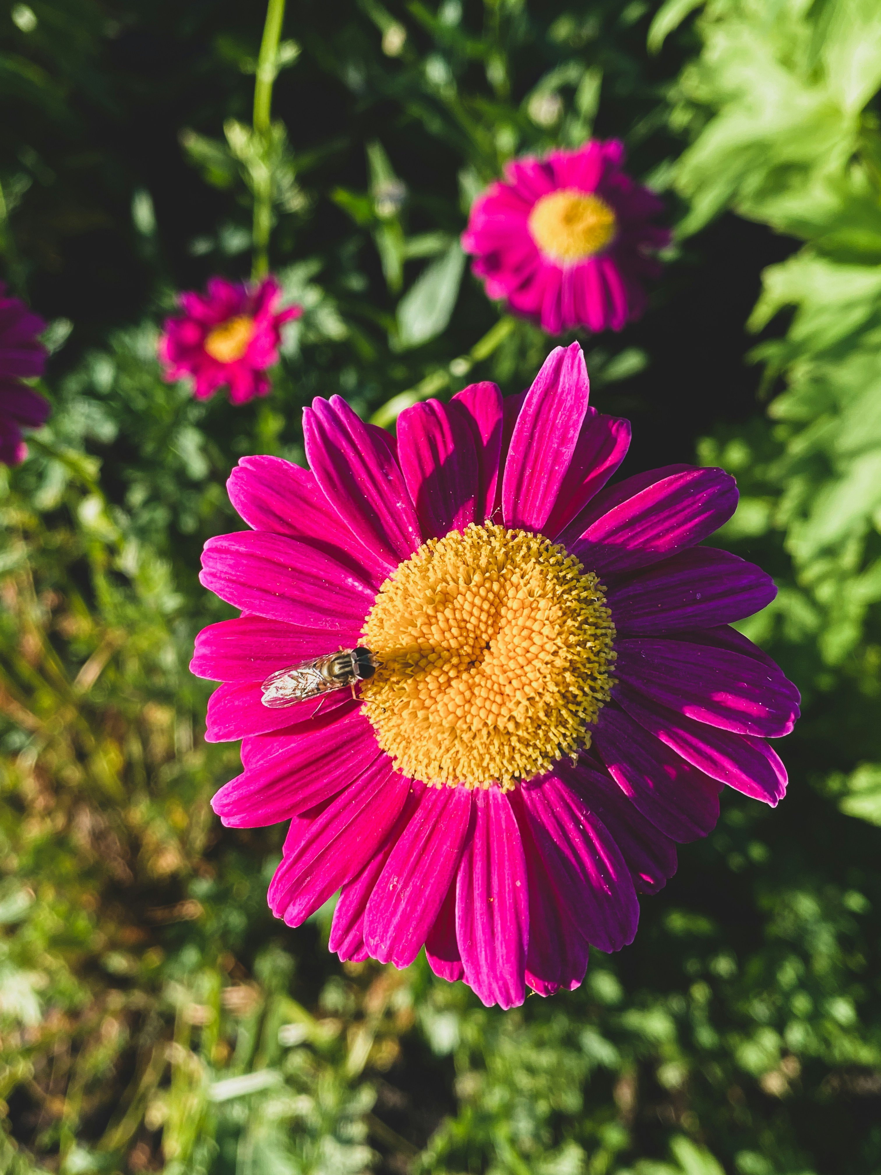 Photo by lxnndaireach