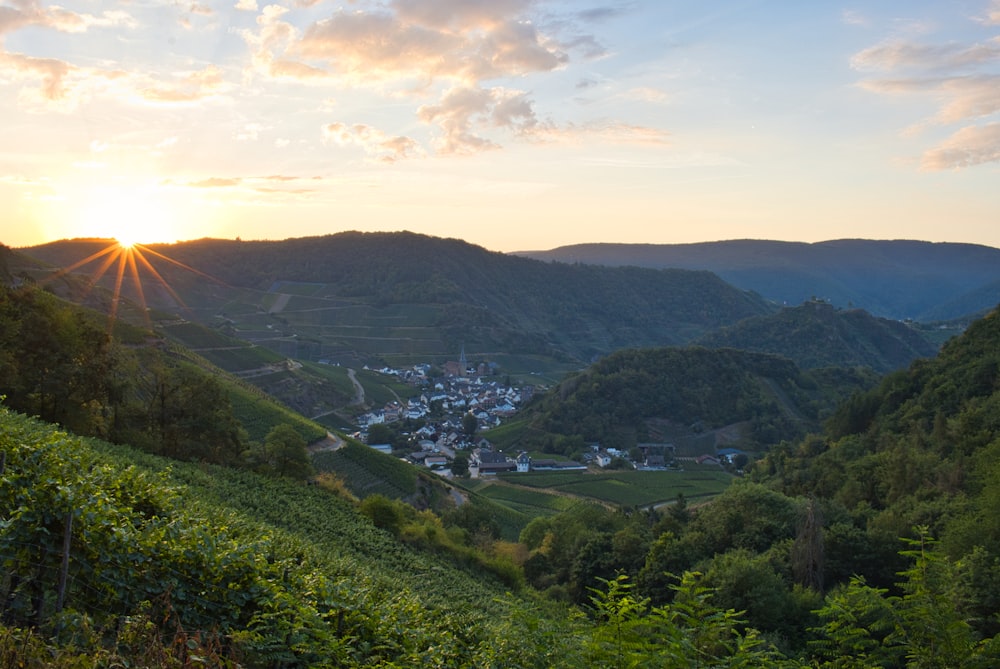 a landscape with trees and hills