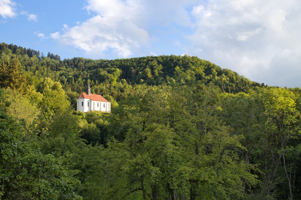 a house in the middle of a forest