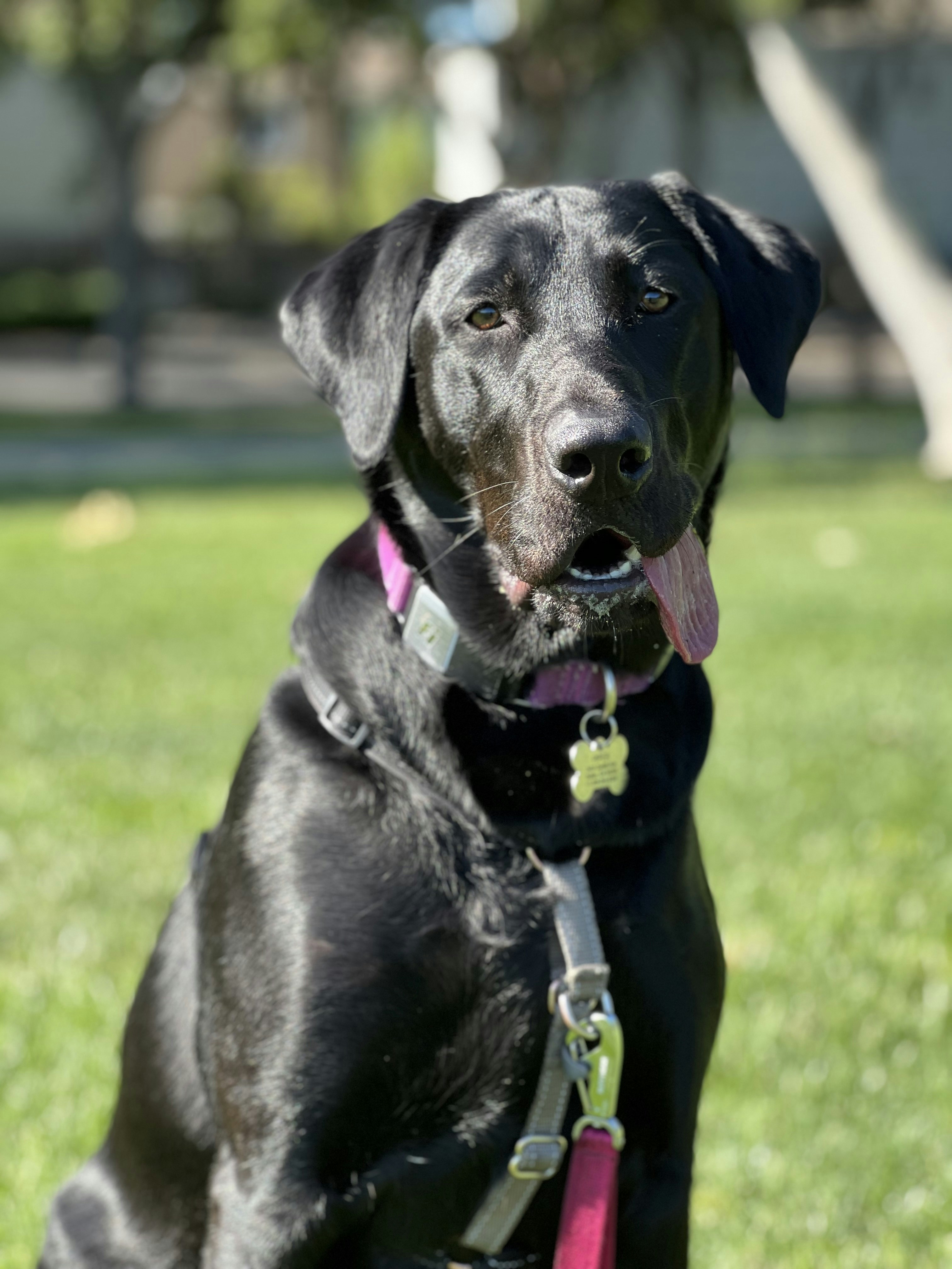 Photo by photomhesunget