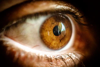 close-up of an eye
